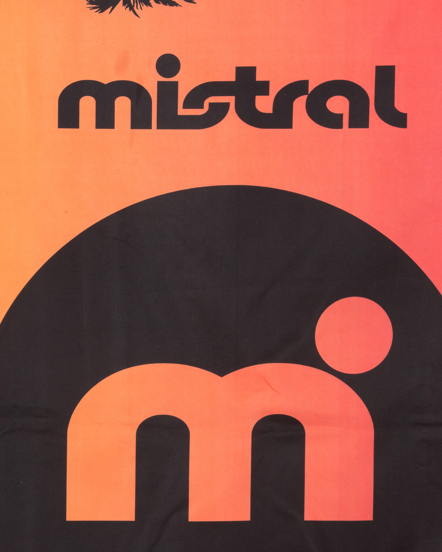 Telo mare MISTRAL PALMS - Color mix - 2 | Cisalfa Sport