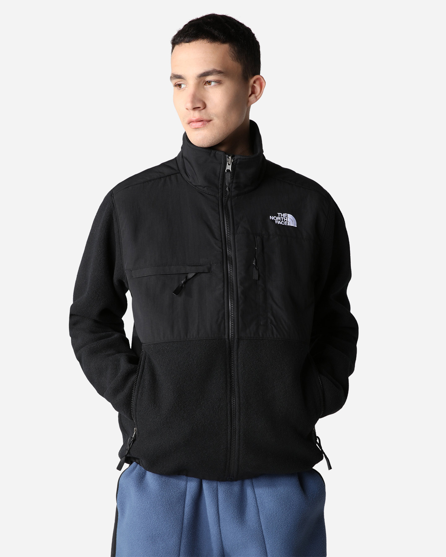 Giubbotto THE NORTH FACE DENALI M - Nero - 2 | Cisalfa Sport