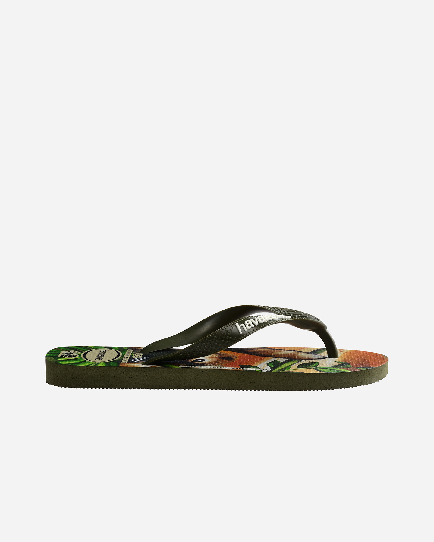 Infradito HAVAIANAS IPE M - Verde - 3 | Cisalfa Sport