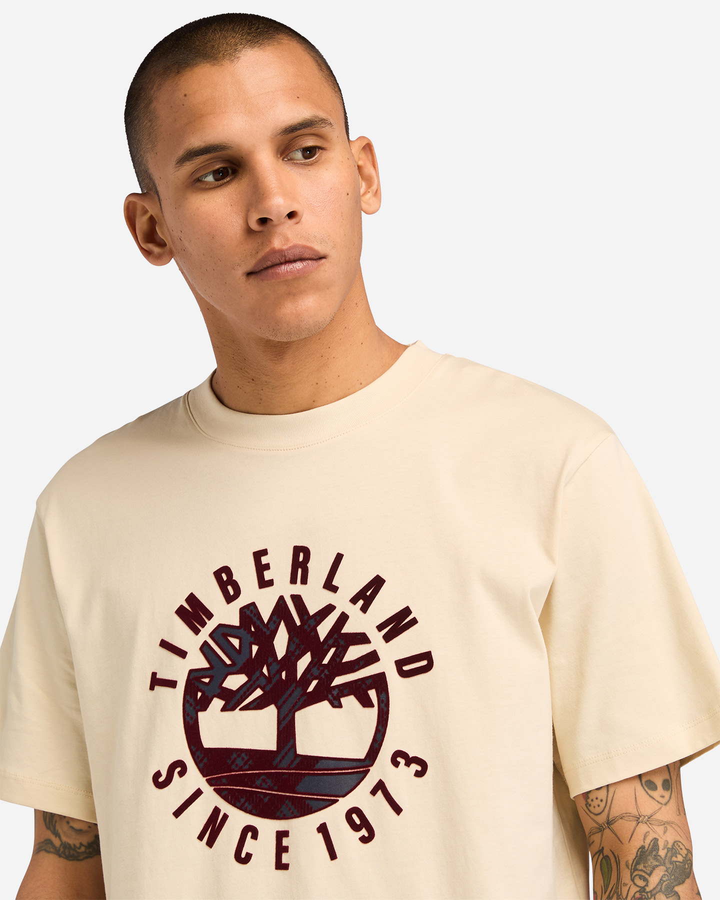 T-shirt TIMBERLAND TREE EMBROIDERED M - 4 | Cisalfa Sport