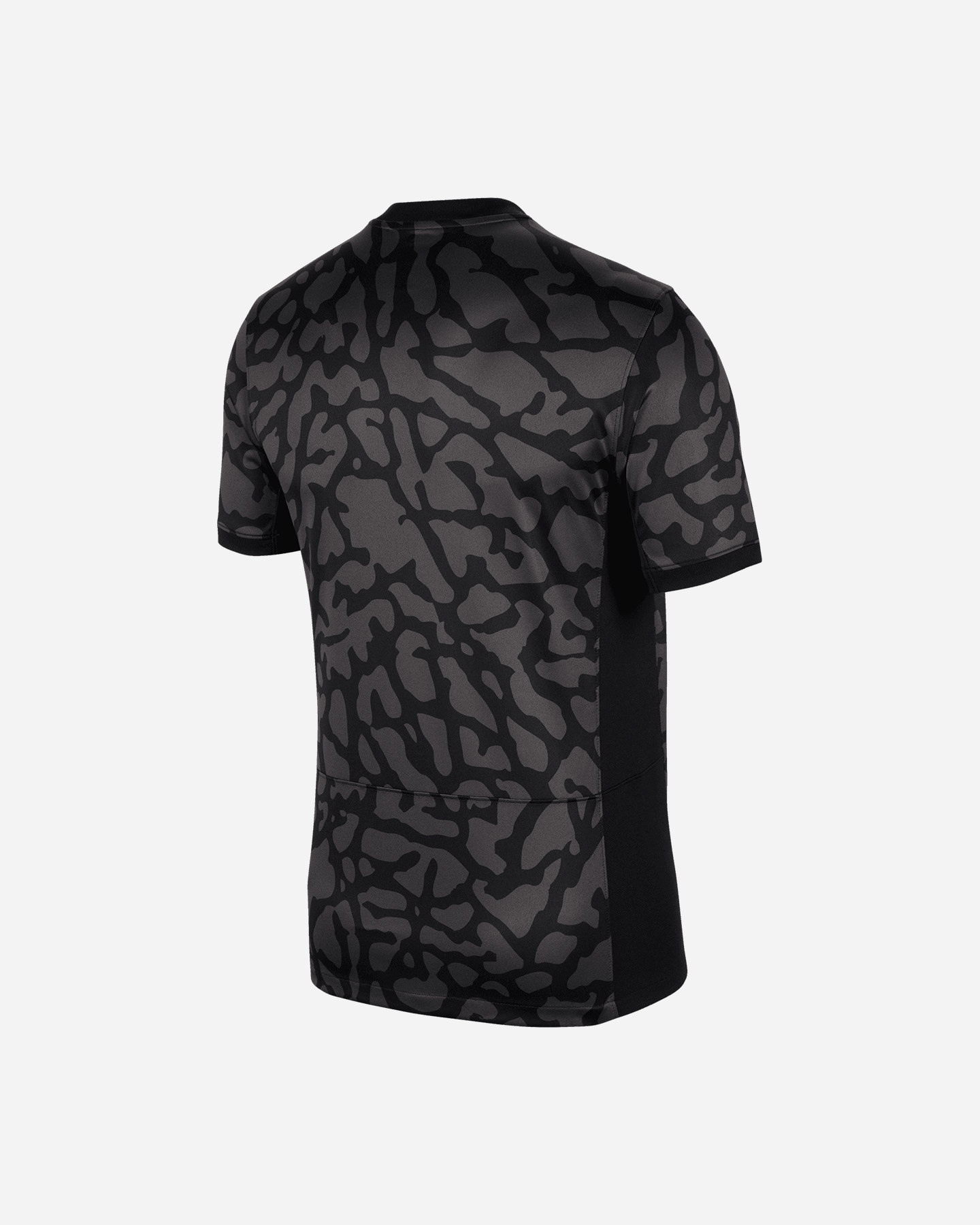 Maglia calcio ufficiale NIKE DRI FIT PARIS SAINT GERMAIN THIRD 23-24 M - Color mix - 1 | Cisalfa Sport