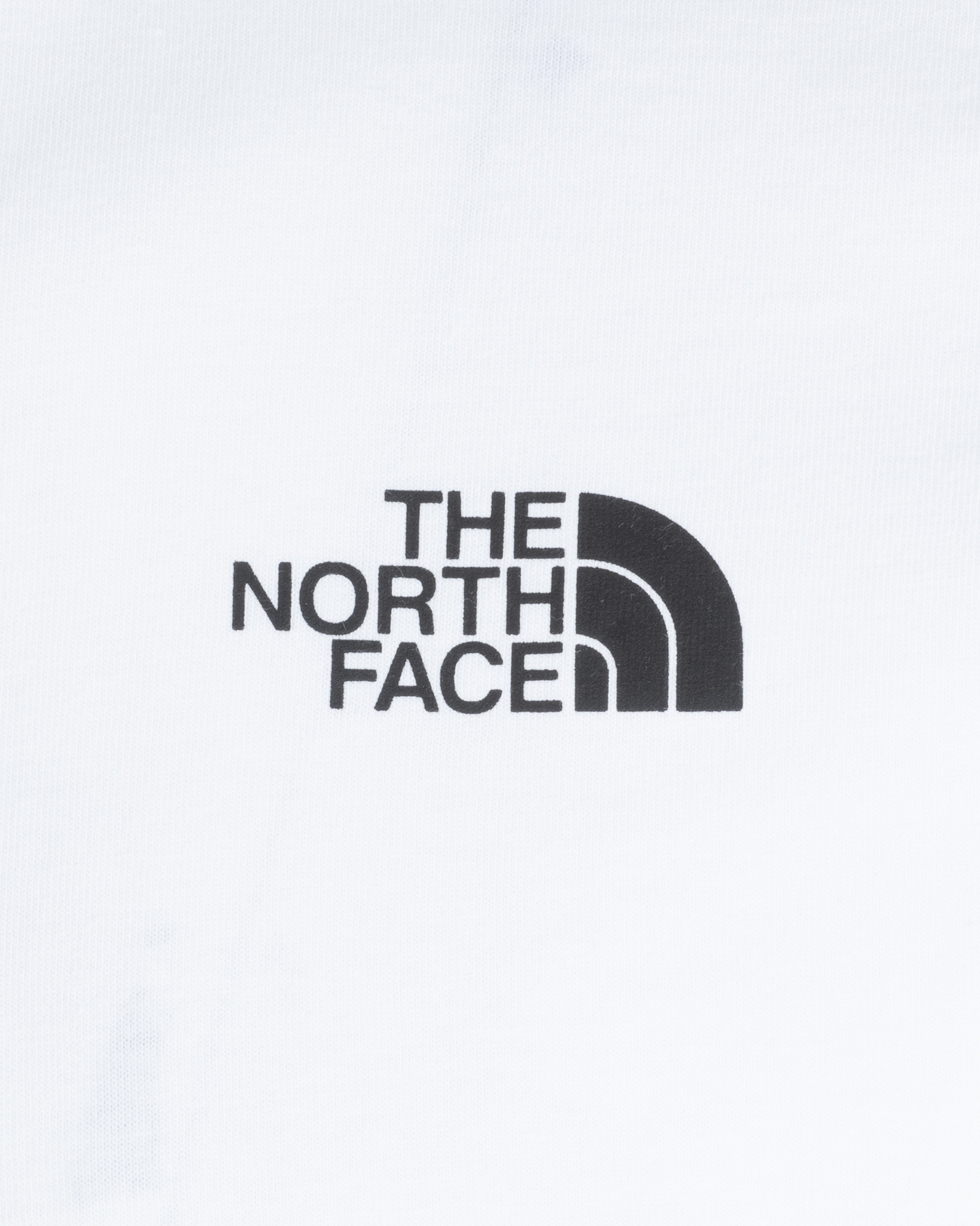 T-shirt THE NORTH FACE NEW ODLES M - 2 | Cisalfa Sport