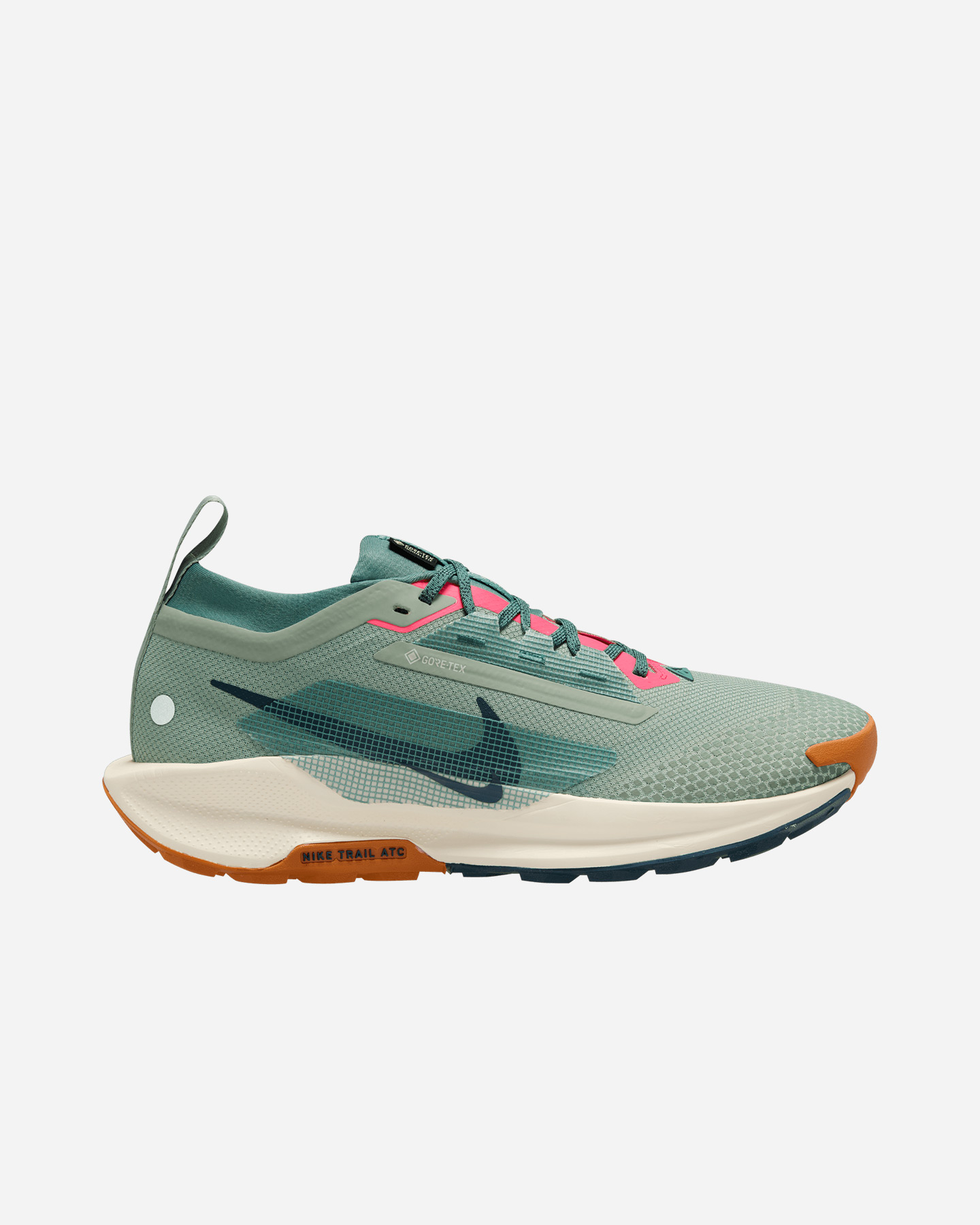 Scarpe trail NIKE PEGASUS TRAIL 5 GORE TEX M - 0 | Cisalfa Sport