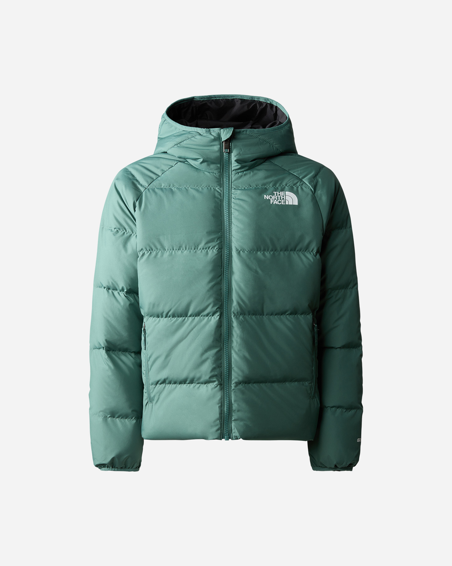 Giubbotto THE NORTH FACE NORTHD JR - 0 | Cisalfa Sport