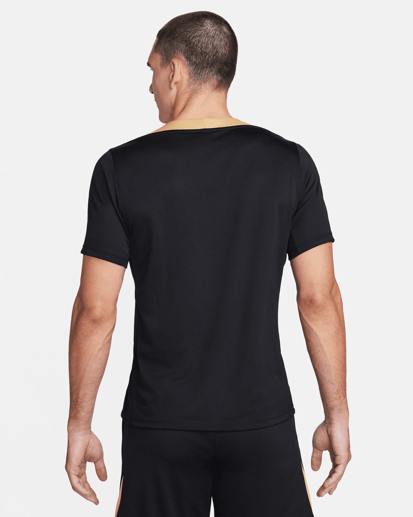 Maglia calcio NIKE STRIKE DRI FIT M - 1 | Cisalfa Sport