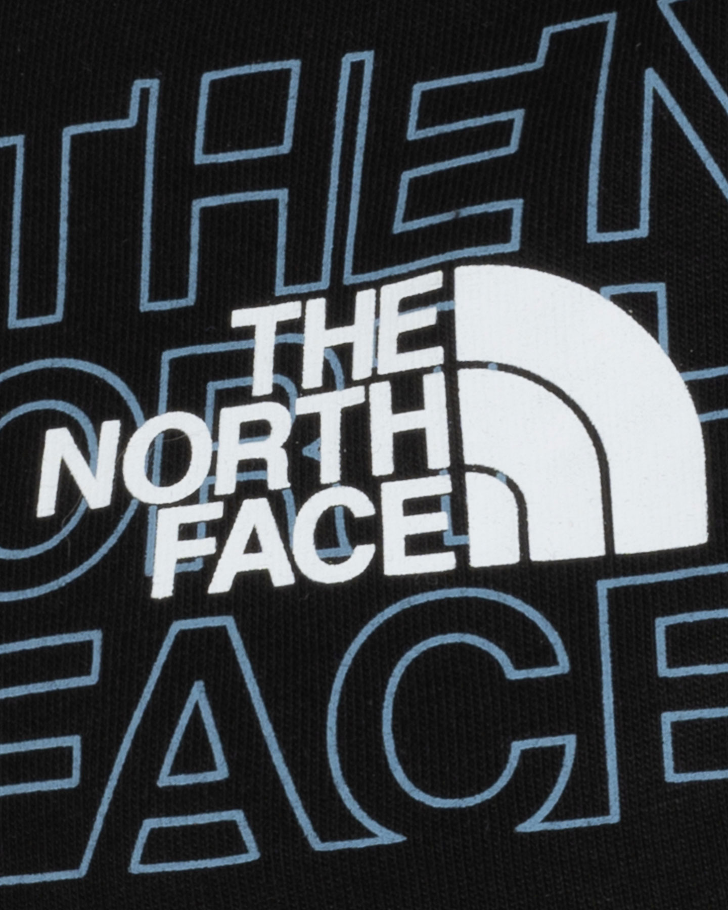 Felpa THE NORTH FACE LOGO W - Nero - 2 | Cisalfa Sport