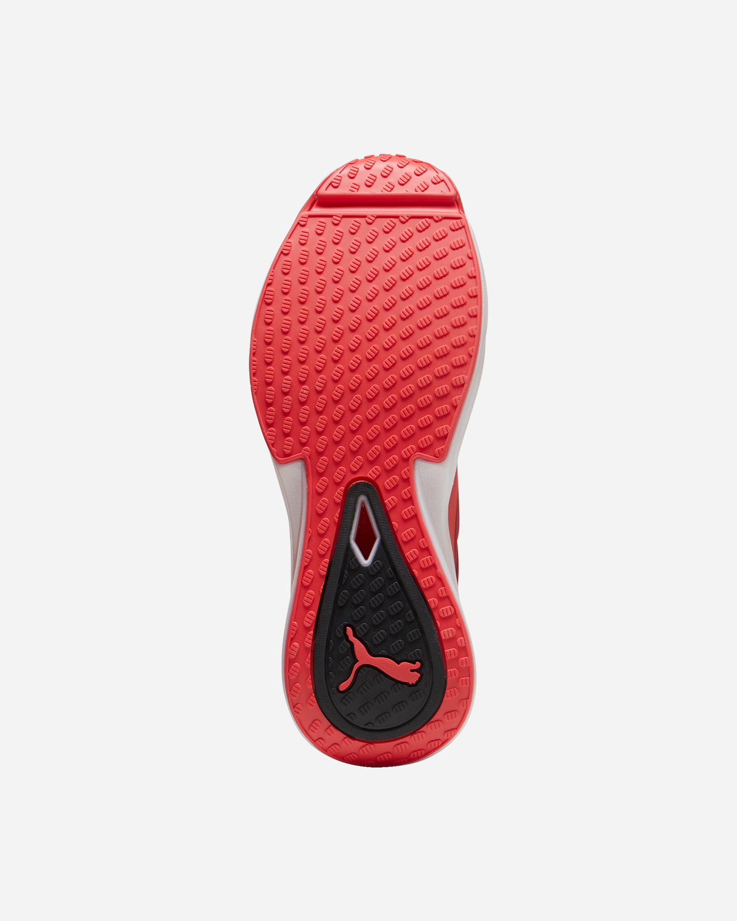 Scarpe training PUMA PWR NITRO SQD M - Rosso - 2 | Cisalfa Sport
