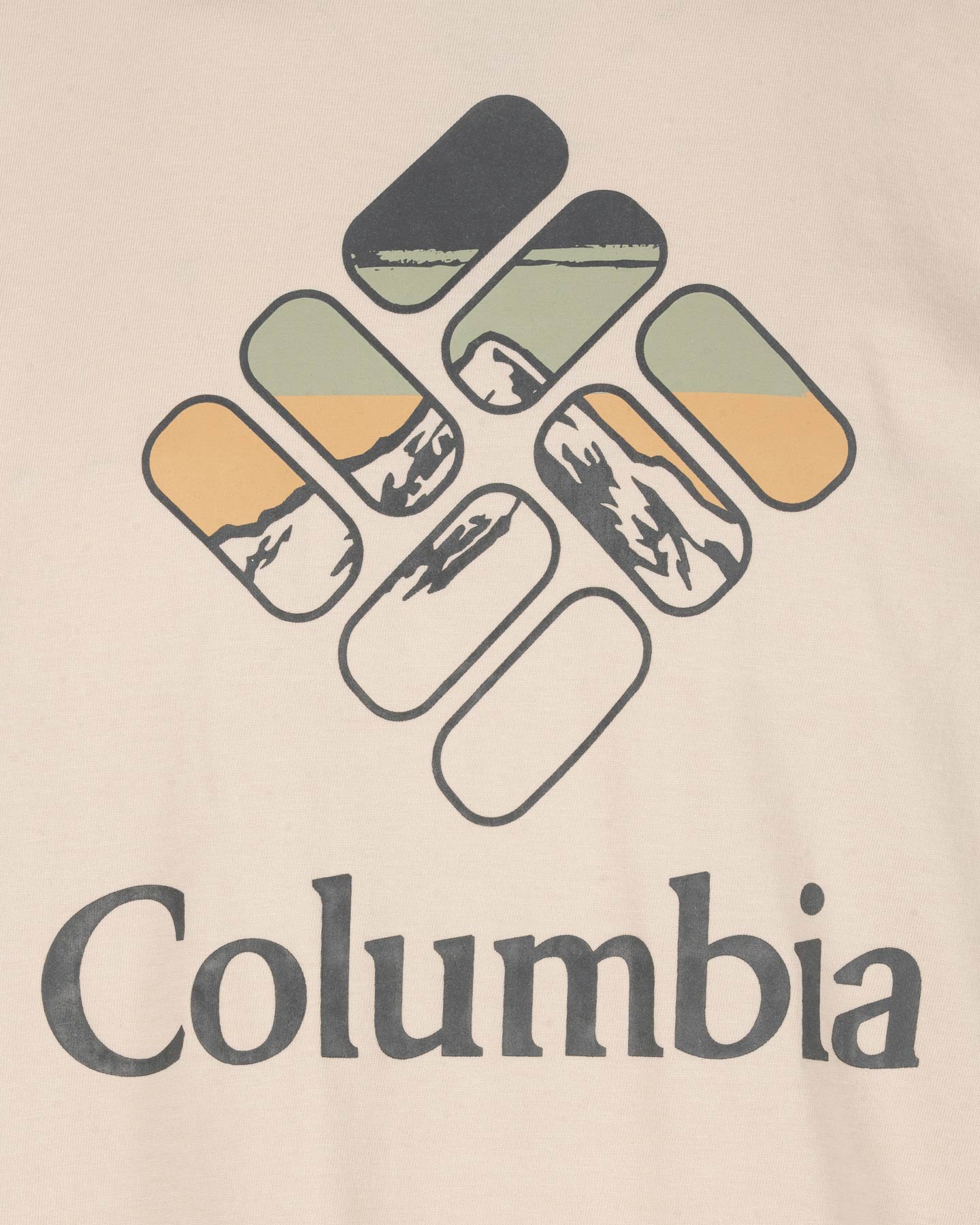 T-shirt COLUMBIA RAPID RIDGE GRAPHIC M - Grigio - 2 | Cisalfa Sport