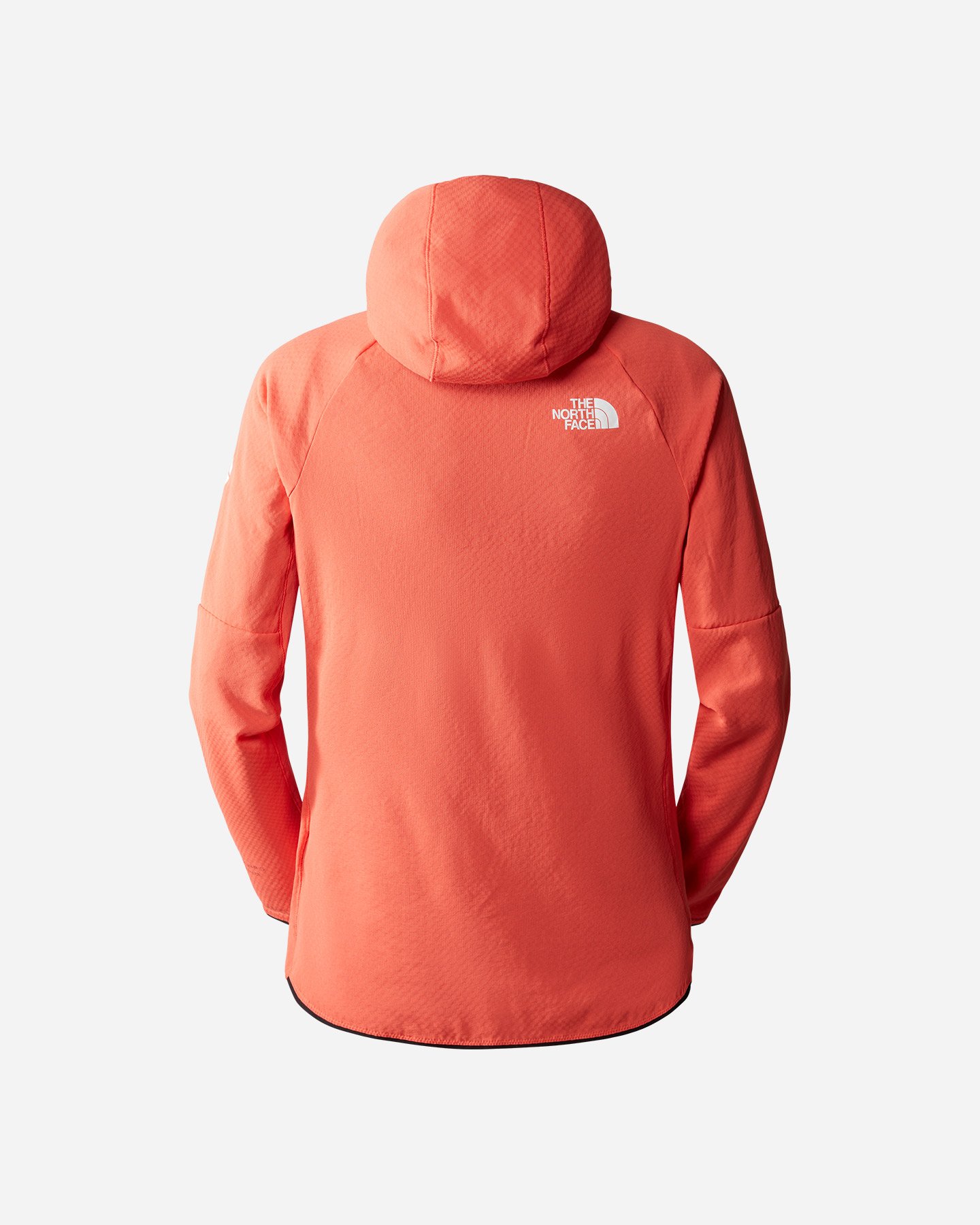 Pile THE NORTH FACE SUMMIT FUTUREFLEECE W - 1 | Cisalfa Sport