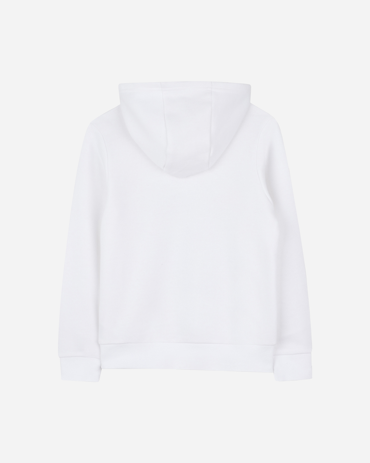 Felpa TIMBERLAND TREE LOGO JR - Bianco - 1 | Cisalfa Sport