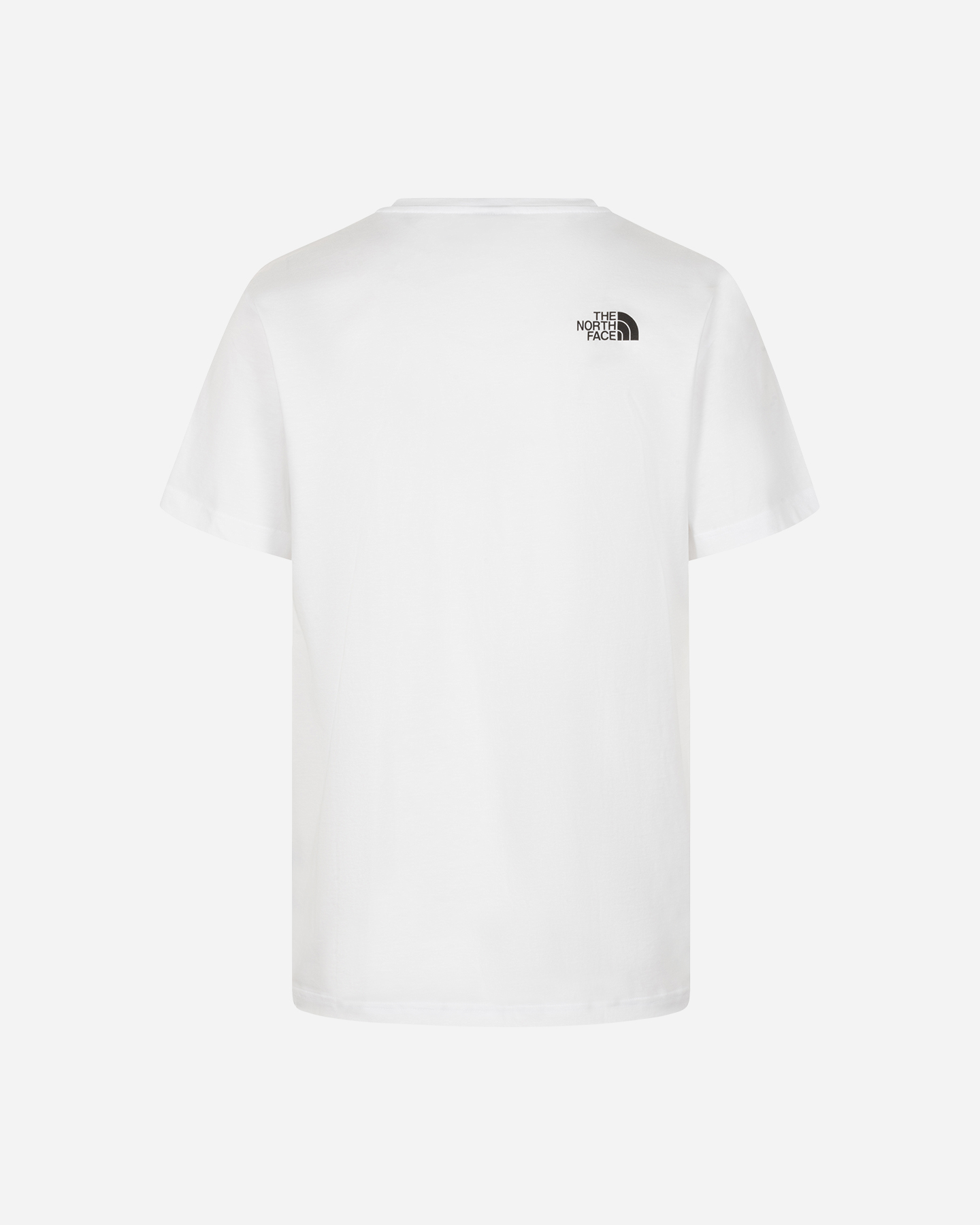 T-shirt THE NORTH FACE LOGO NSE BOX M - 1 | Cisalfa Sport