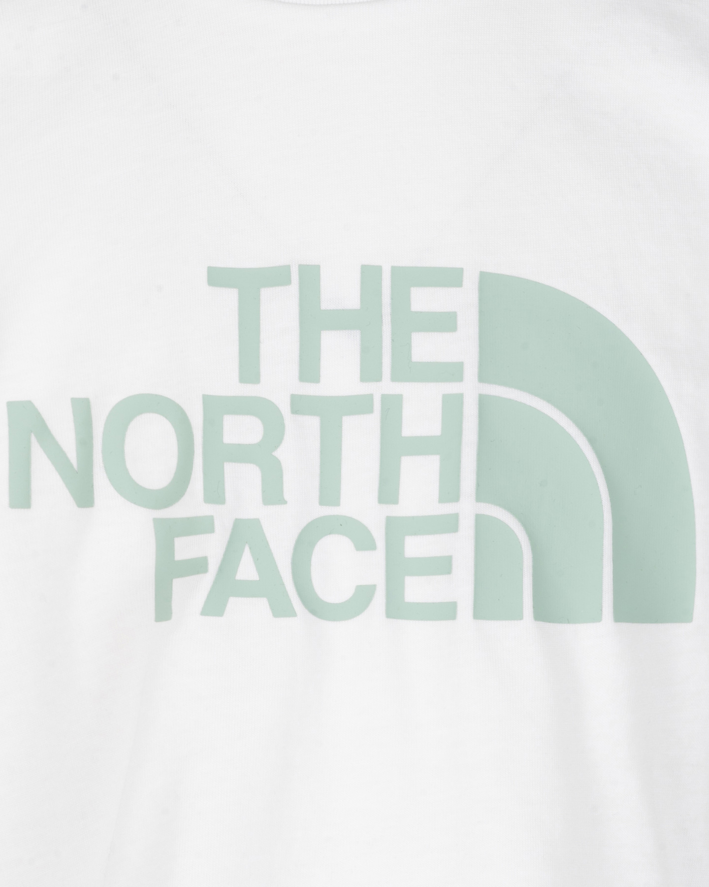 T-shirt THE NORTH FACE EASY BIG LOGO JR - 2 | Cisalfa Sport