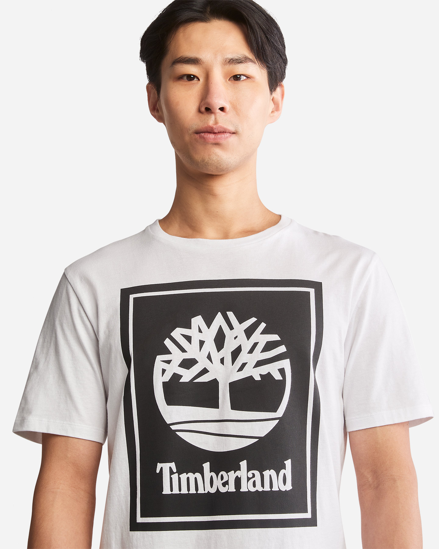 T-shirt TIMBERLAND TREE LOGO BOX M - 4 | Cisalfa Sport