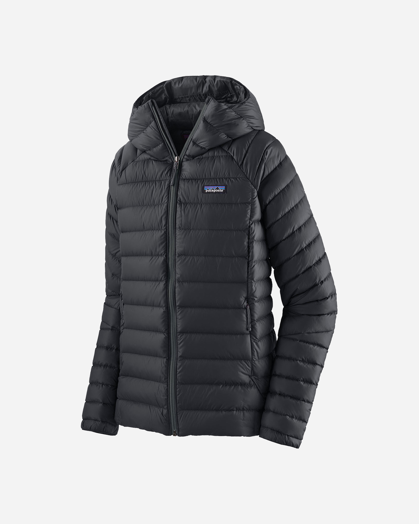 Piumino PATAGONIA DOWN HD W - 0 | Cisalfa Sport