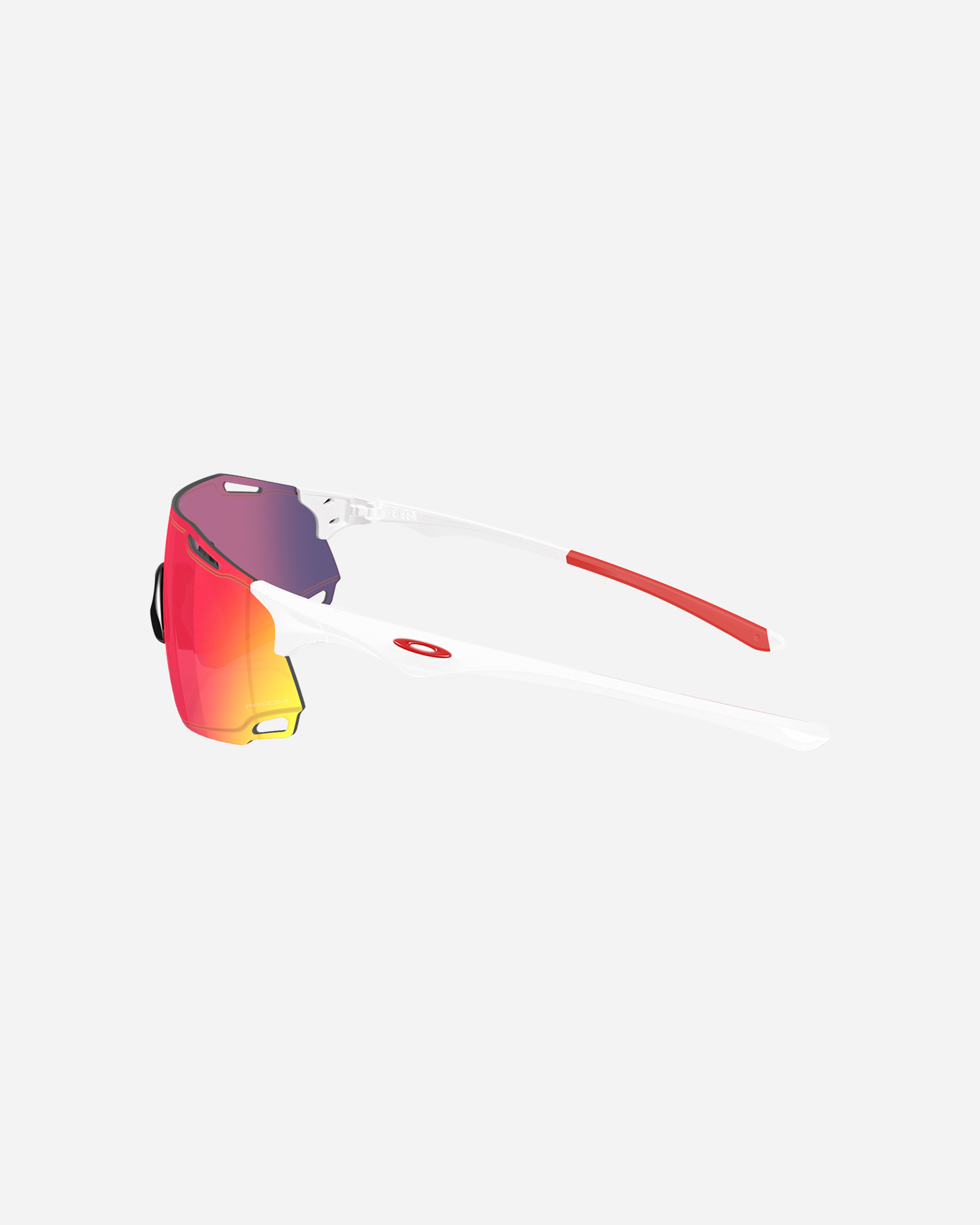 Occhiali OAKLEY CYBR DYNO - 3 | Cisalfa Sport