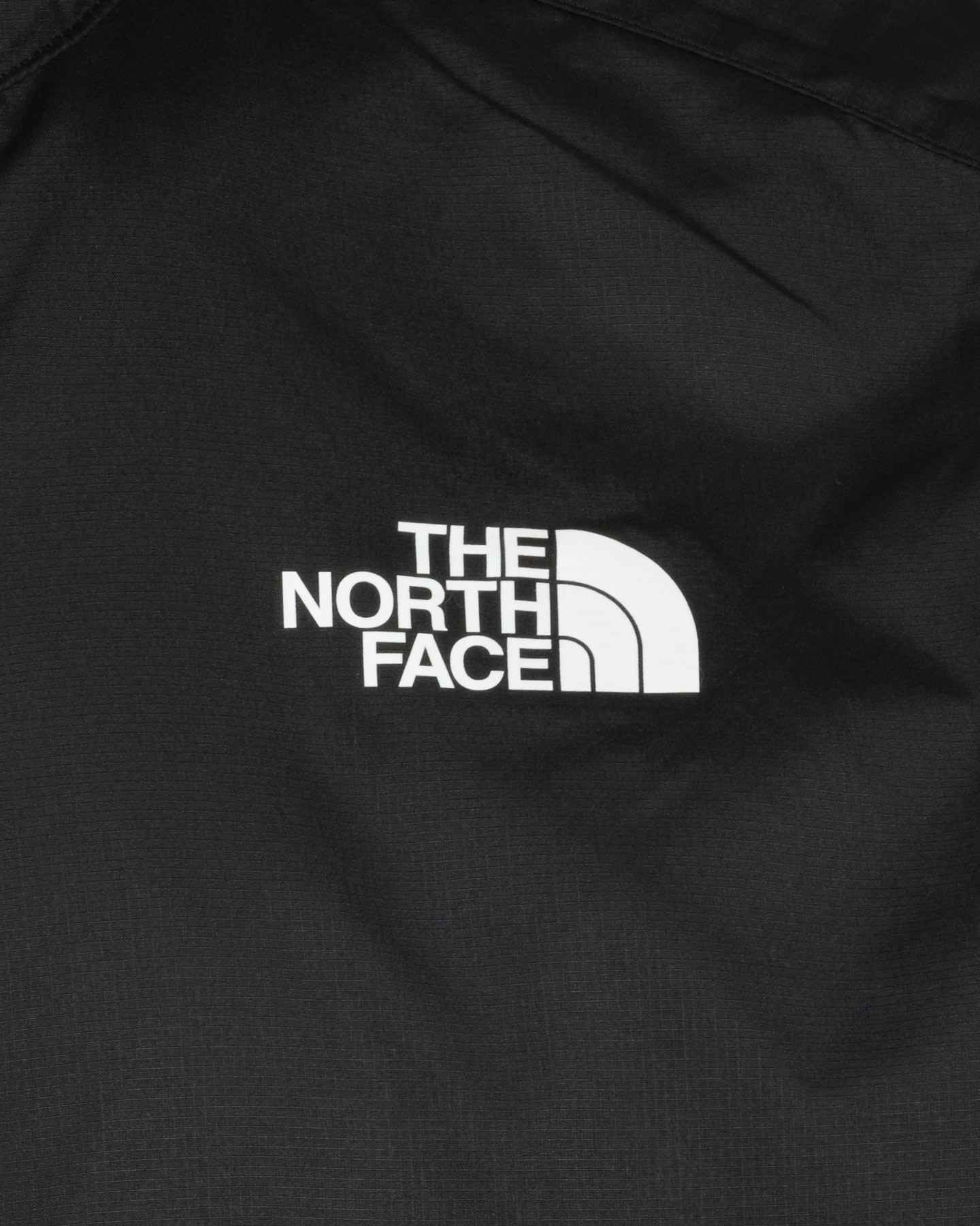 Giacca outdoor THE NORTH FACE ODLES M - 2 | Cisalfa Sport