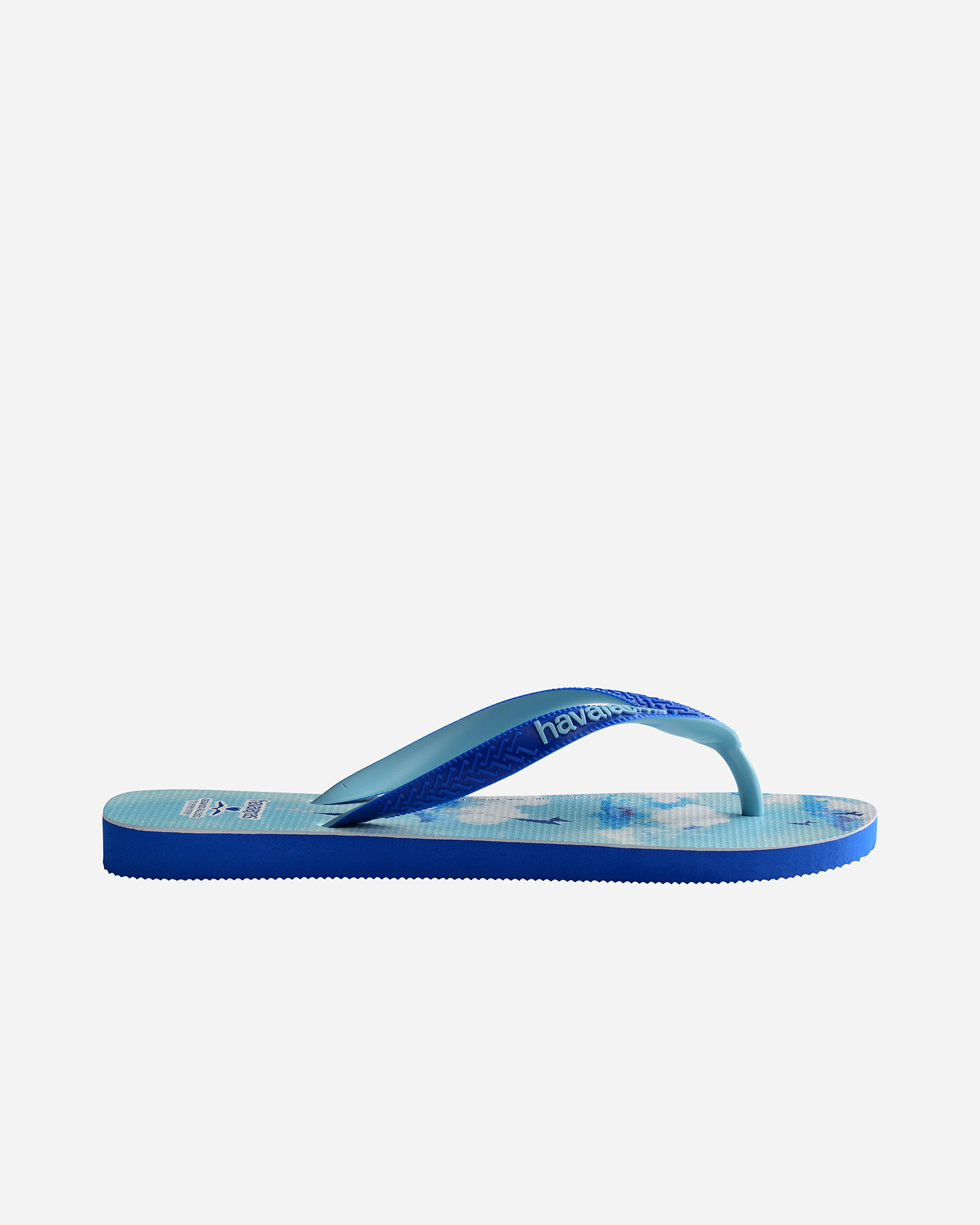 Infradito HAVAIANAS GERANDO FALCOES M - Blu - 3 | Cisalfa Sport