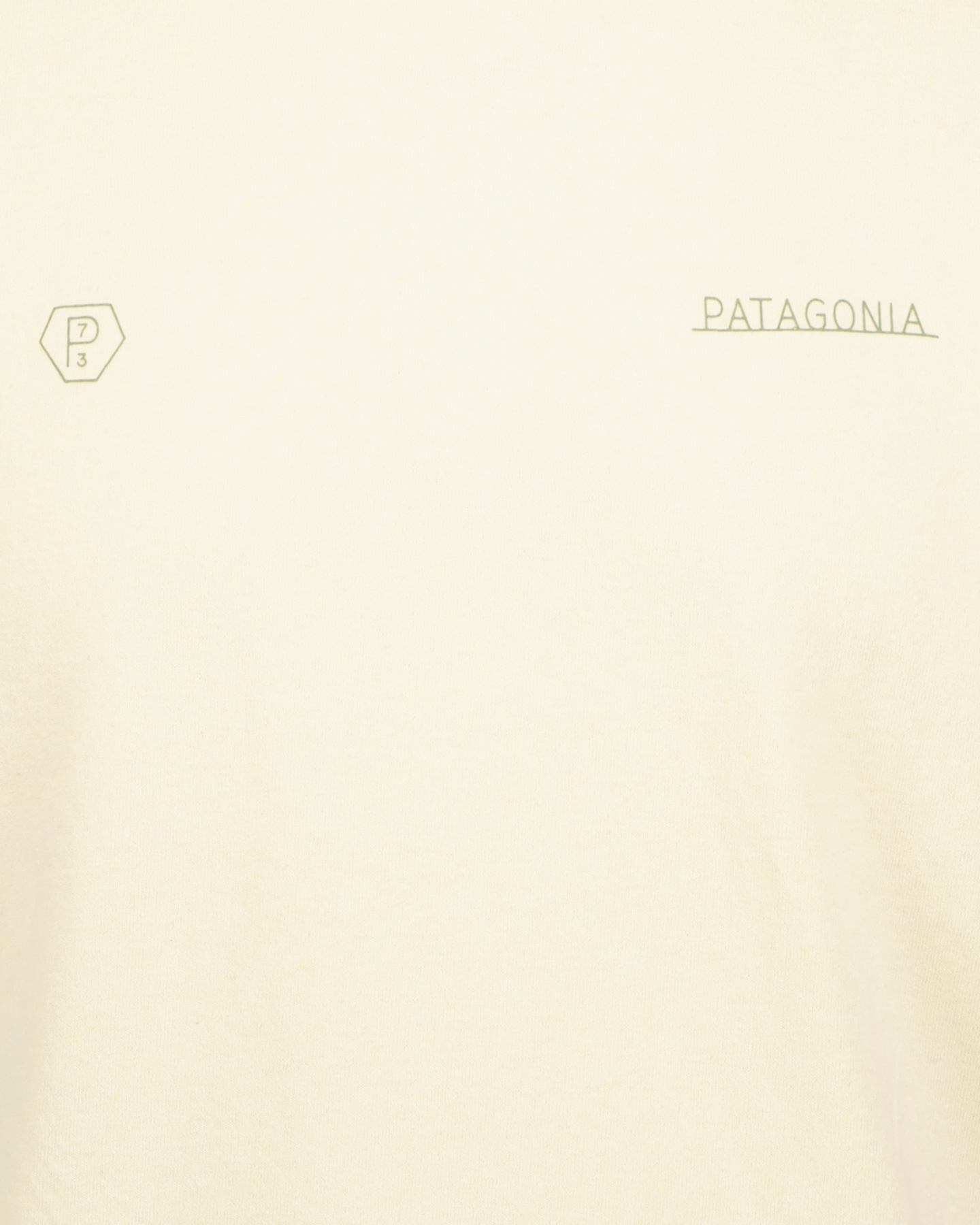 T-shirt PATAGONIA FORGE MARK RESPONSIBILITY M - Bianco - 2 | Cisalfa Sport