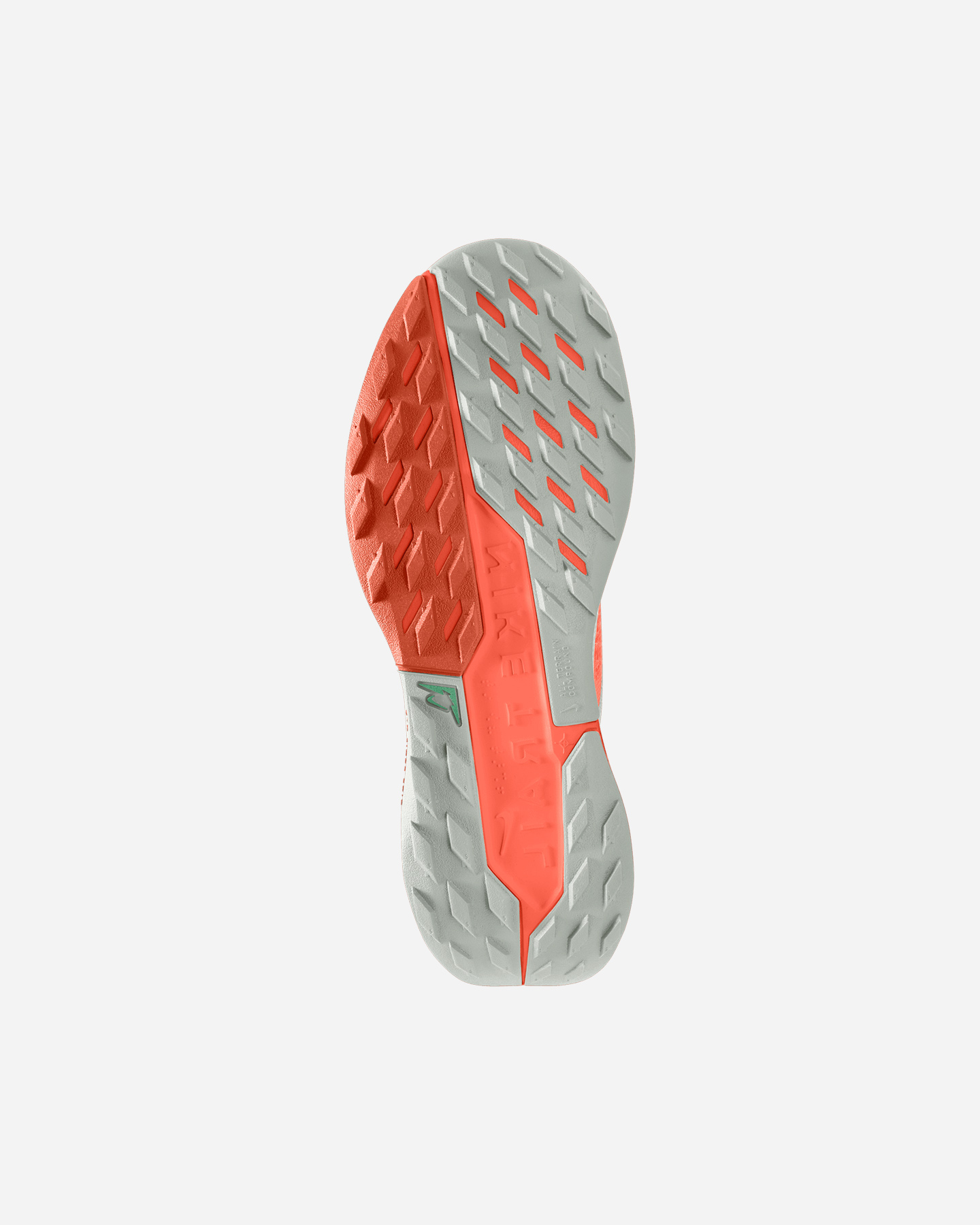 Scarpe trail NIKE PEGASUS TRAIL 5 GORE TEX M - 1 | Cisalfa Sport