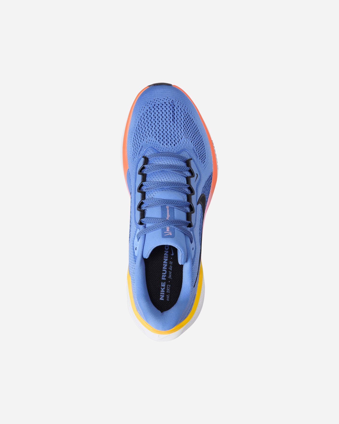 Scarpe running NIKE PEGASUS 41 W - Blu - 2 | Cisalfa Sport