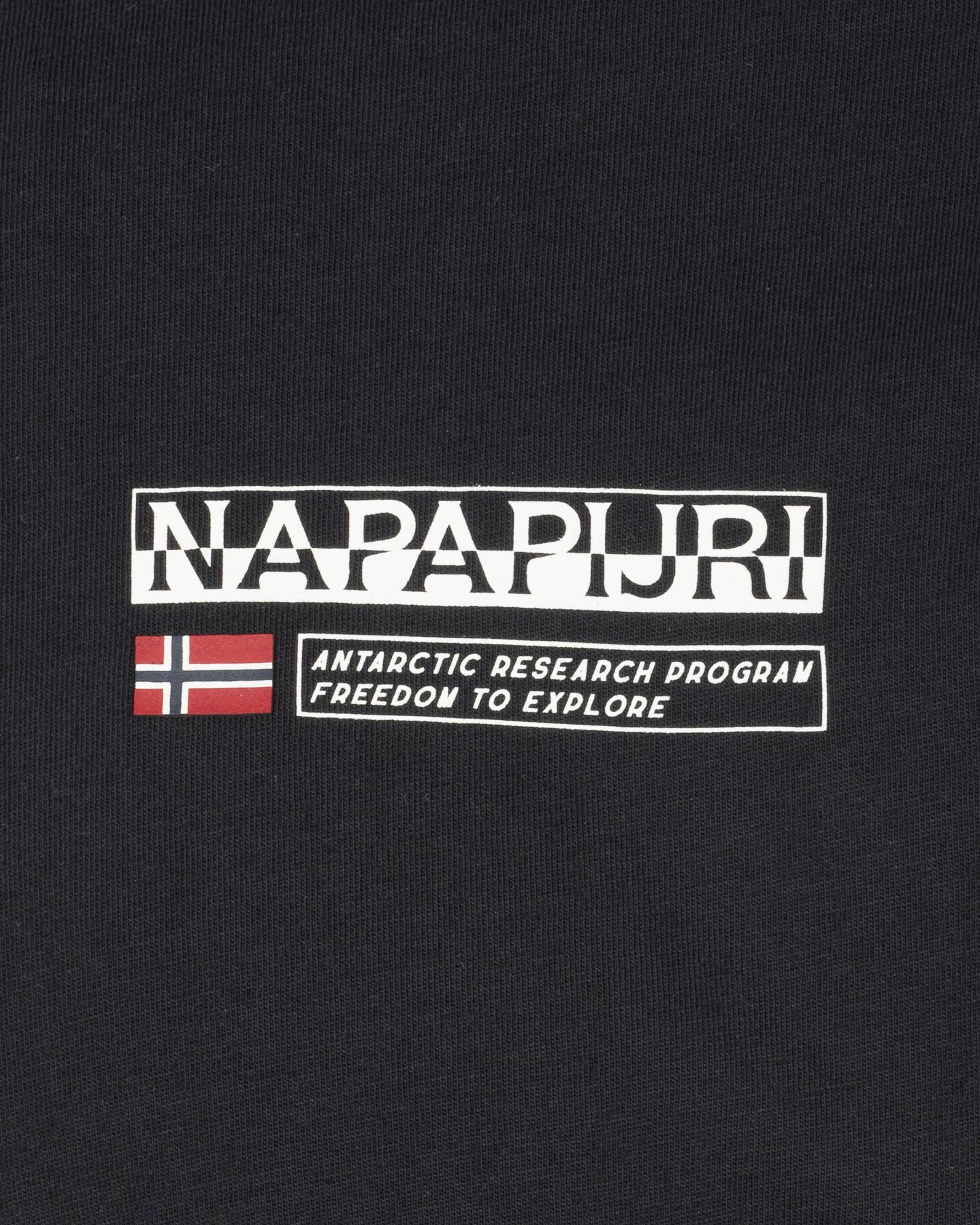 T-shirt NAPAPIJRI KASBA M - 2 | Cisalfa Sport