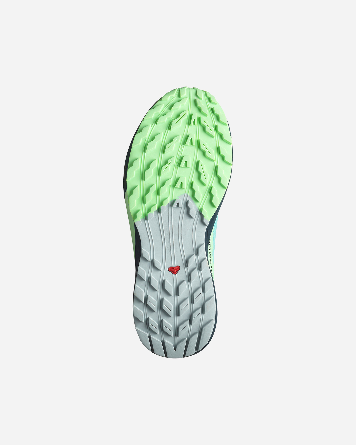 Scarpe trail SALOMON SENSE RIDE 5 GTX W - Blu - 1 | Cisalfa Sport