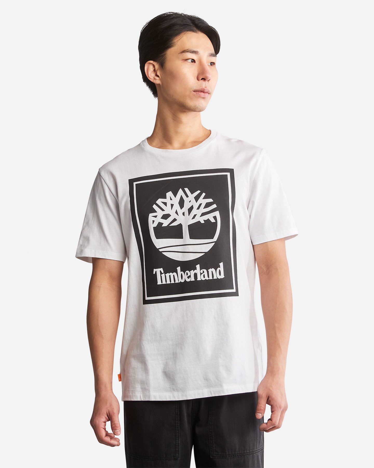 T-shirt TIMBERLAND TREE LOGO BOX M - 1 | Cisalfa Sport