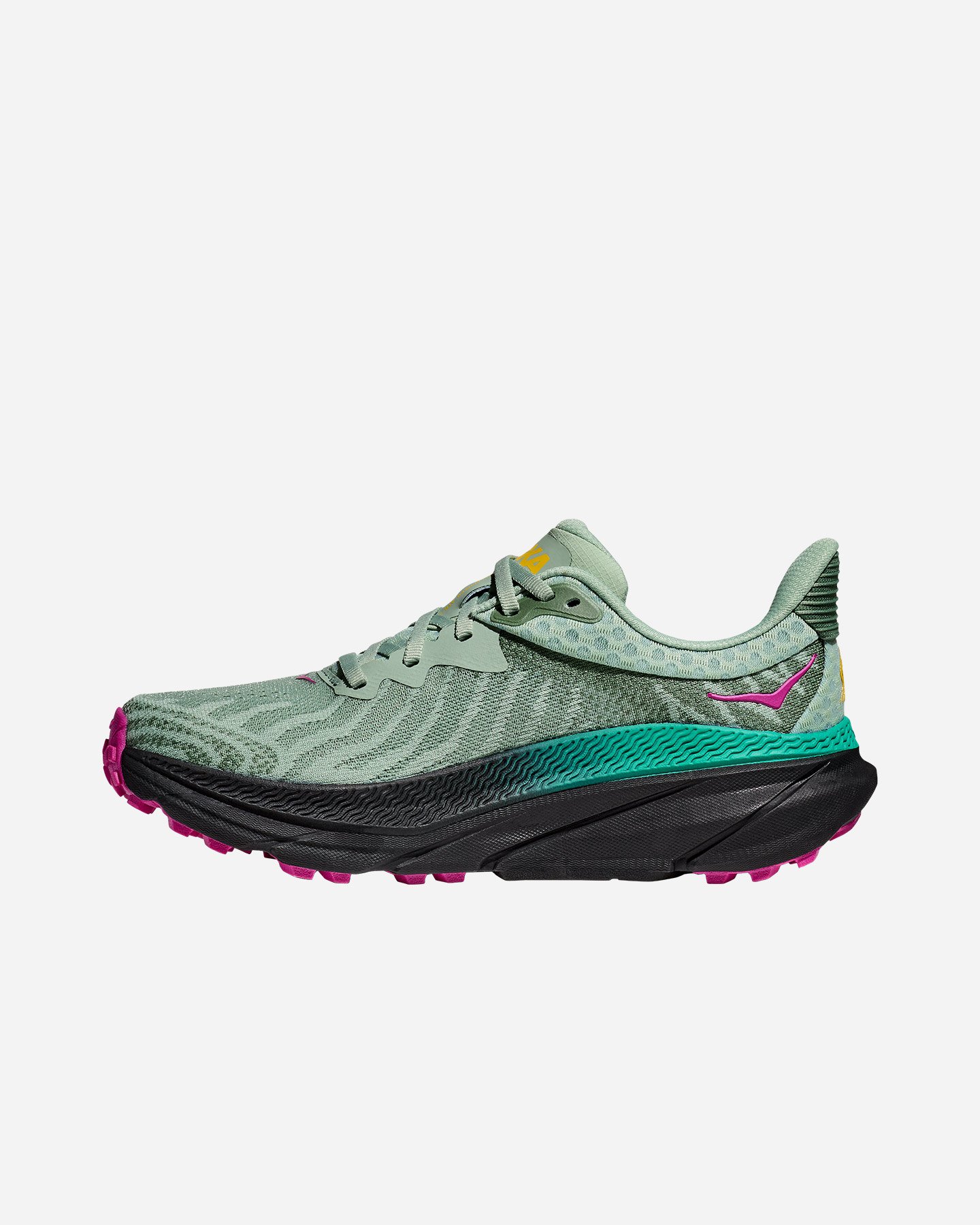 Scarpe trail HOKA CHALLENGER 7 W - 5 | Cisalfa Sport