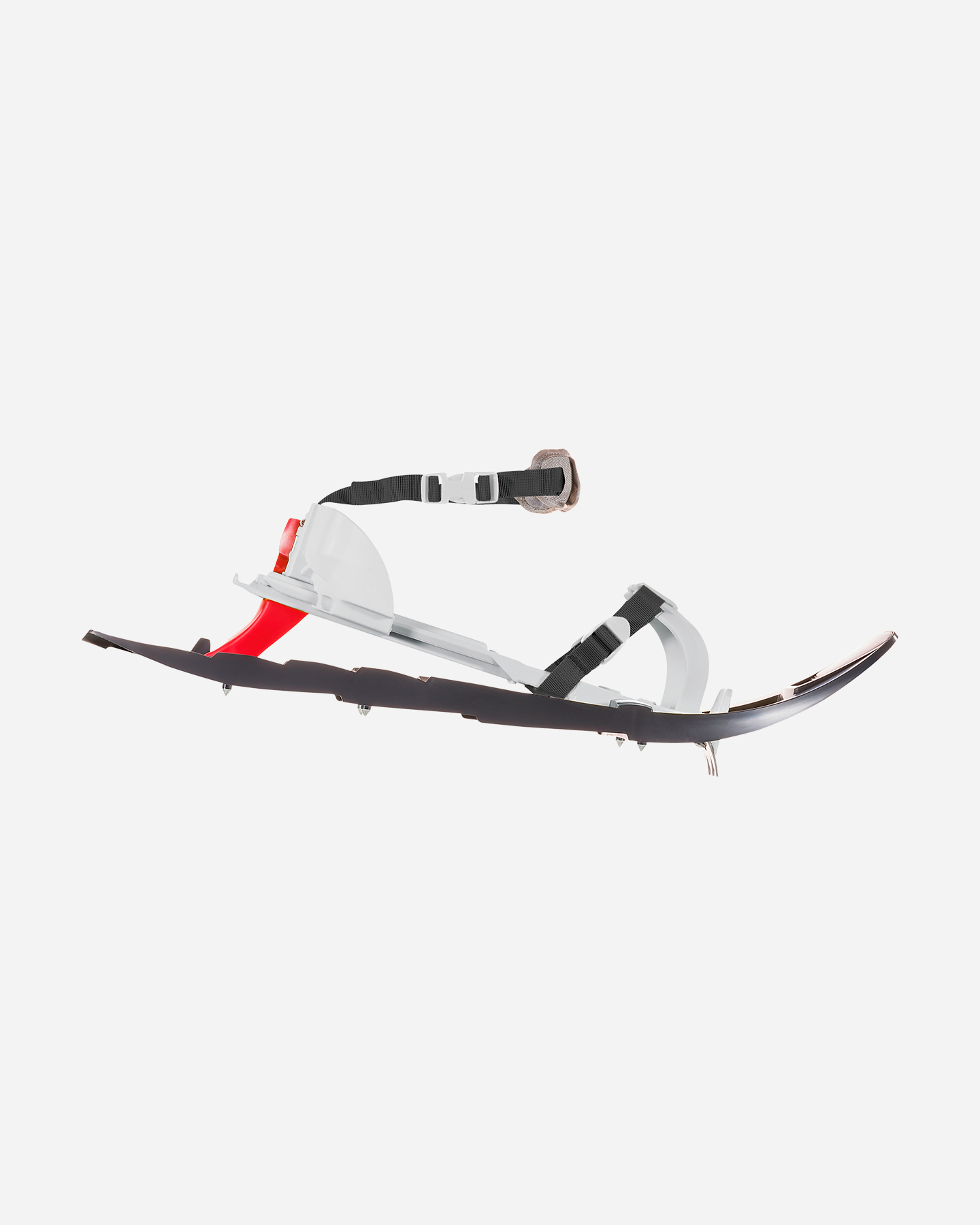 Ciaspole FERRINO PINTER CASTOR - 2 | Cisalfa Sport