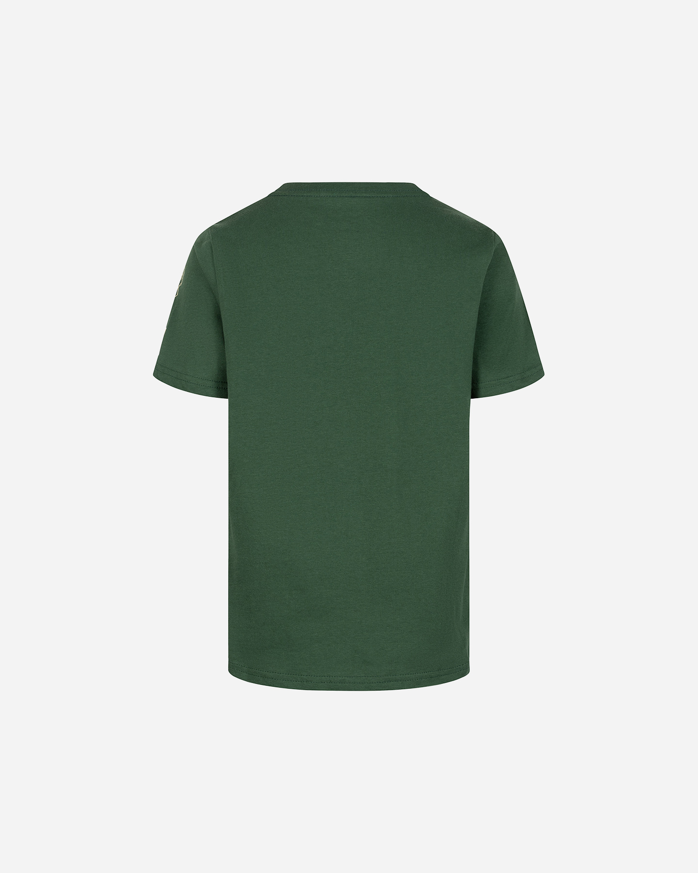 Abbigliamento basket NIKE ESSENTIAL MILWAUKEE BUCKS JR - Verde - 1 | Cisalfa Sport