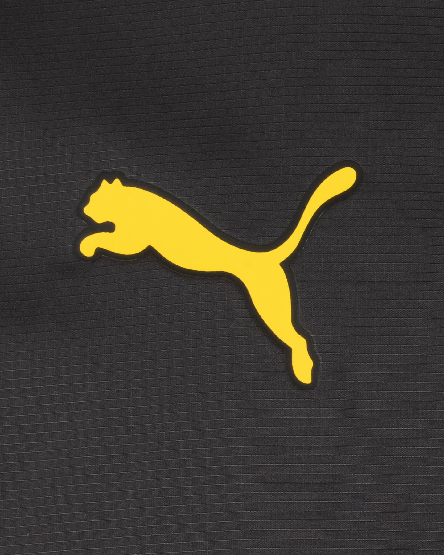 Abbigliamento calcio PUMA BORUSSIA DORTMUND PREMATCH M - 2 | Cisalfa Sport