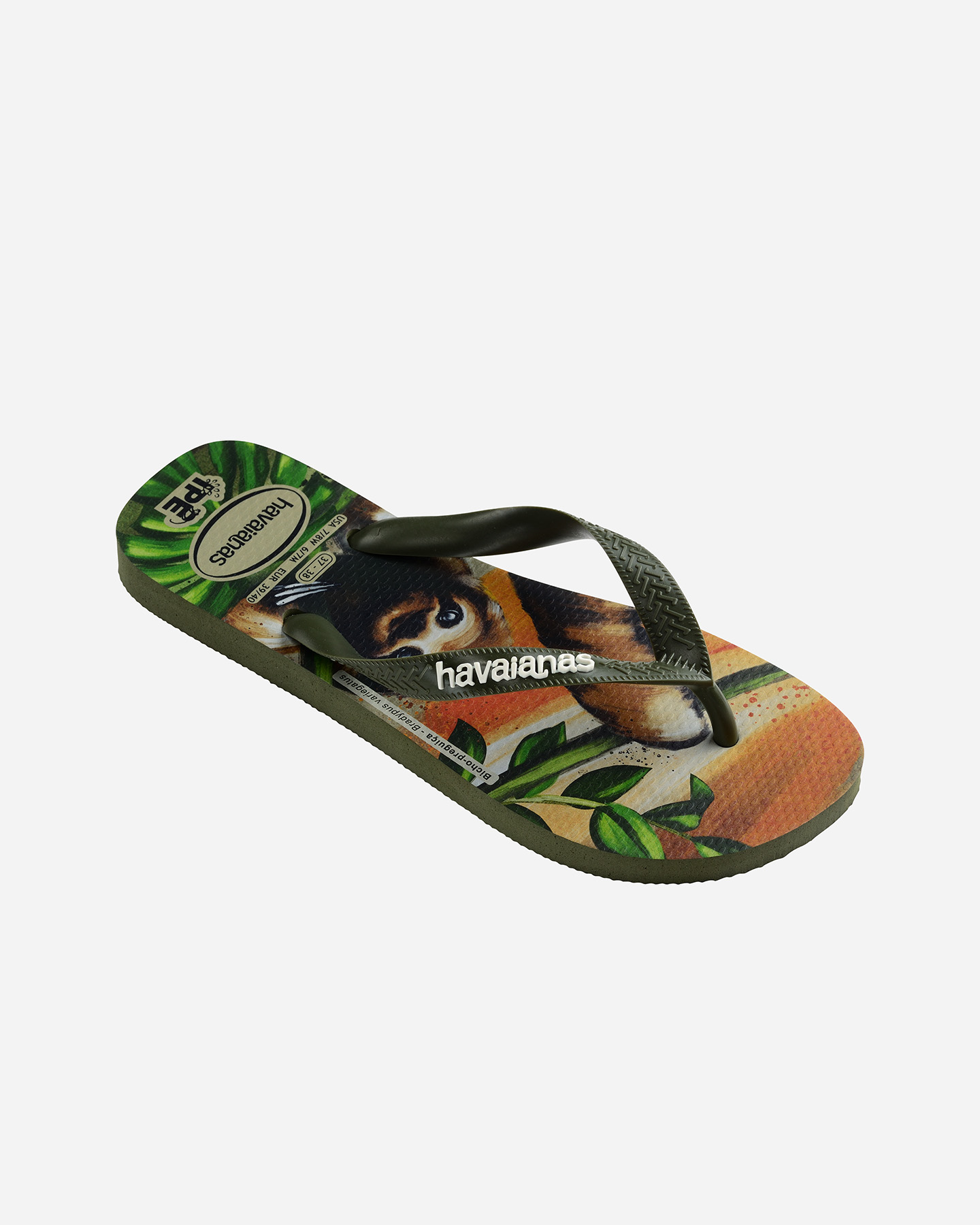 Infradito HAVAIANAS IPE M - Verde - 2 | Cisalfa Sport