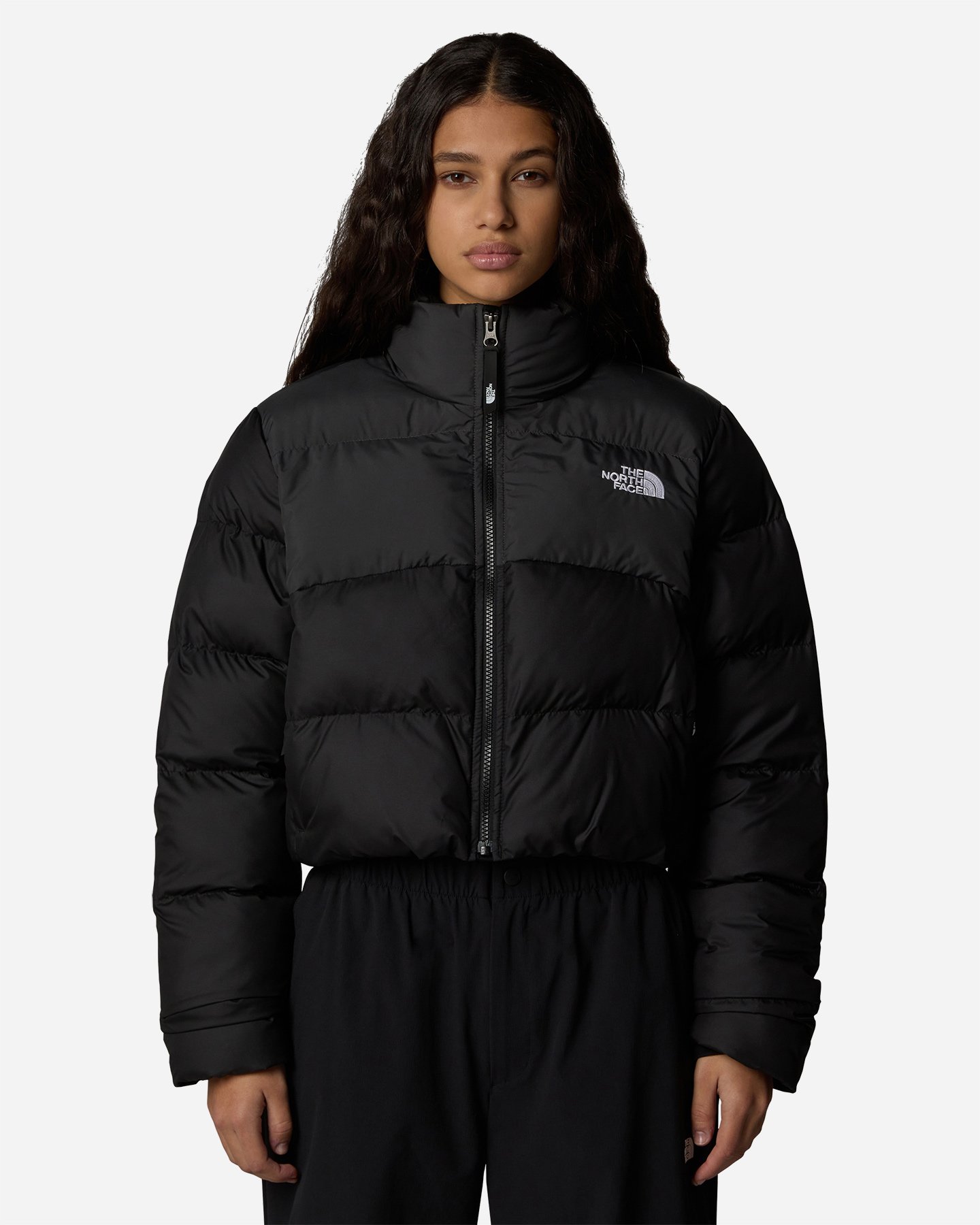 Giubbotto THE NORTH FACE SAIKURU CROP W - 2 | Cisalfa Sport