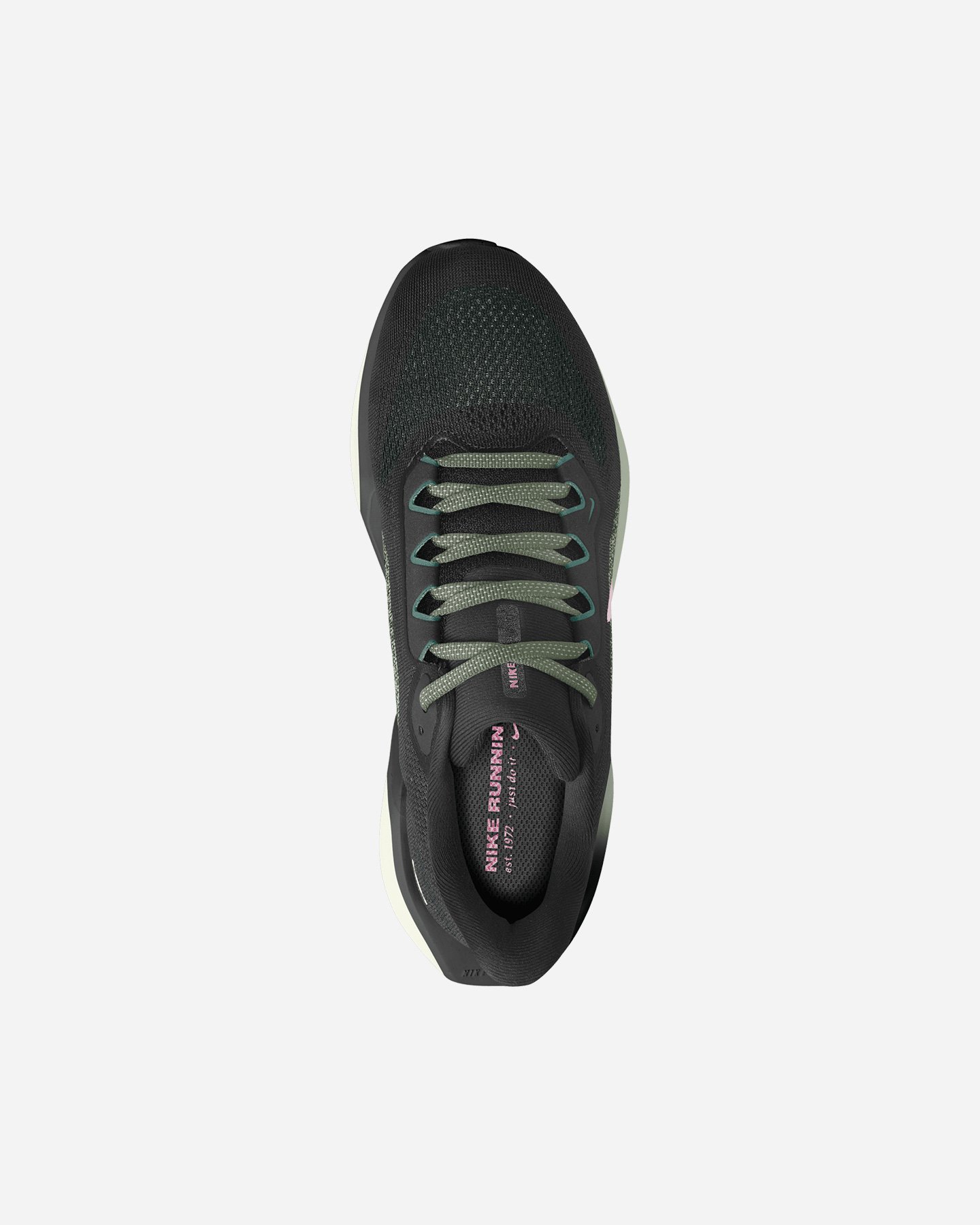 Scarpe running NIKE PEGASUS 41 W - 2 | Cisalfa Sport