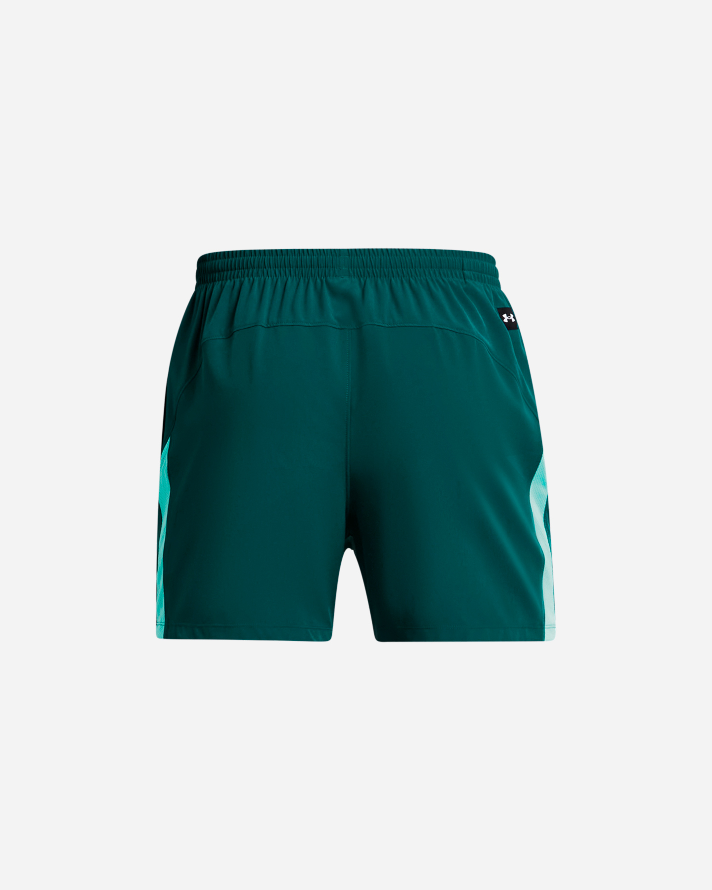 Pantaloncini UNDER ARMOUR THE ROCK ULTIMATE M - 1 | Cisalfa Sport