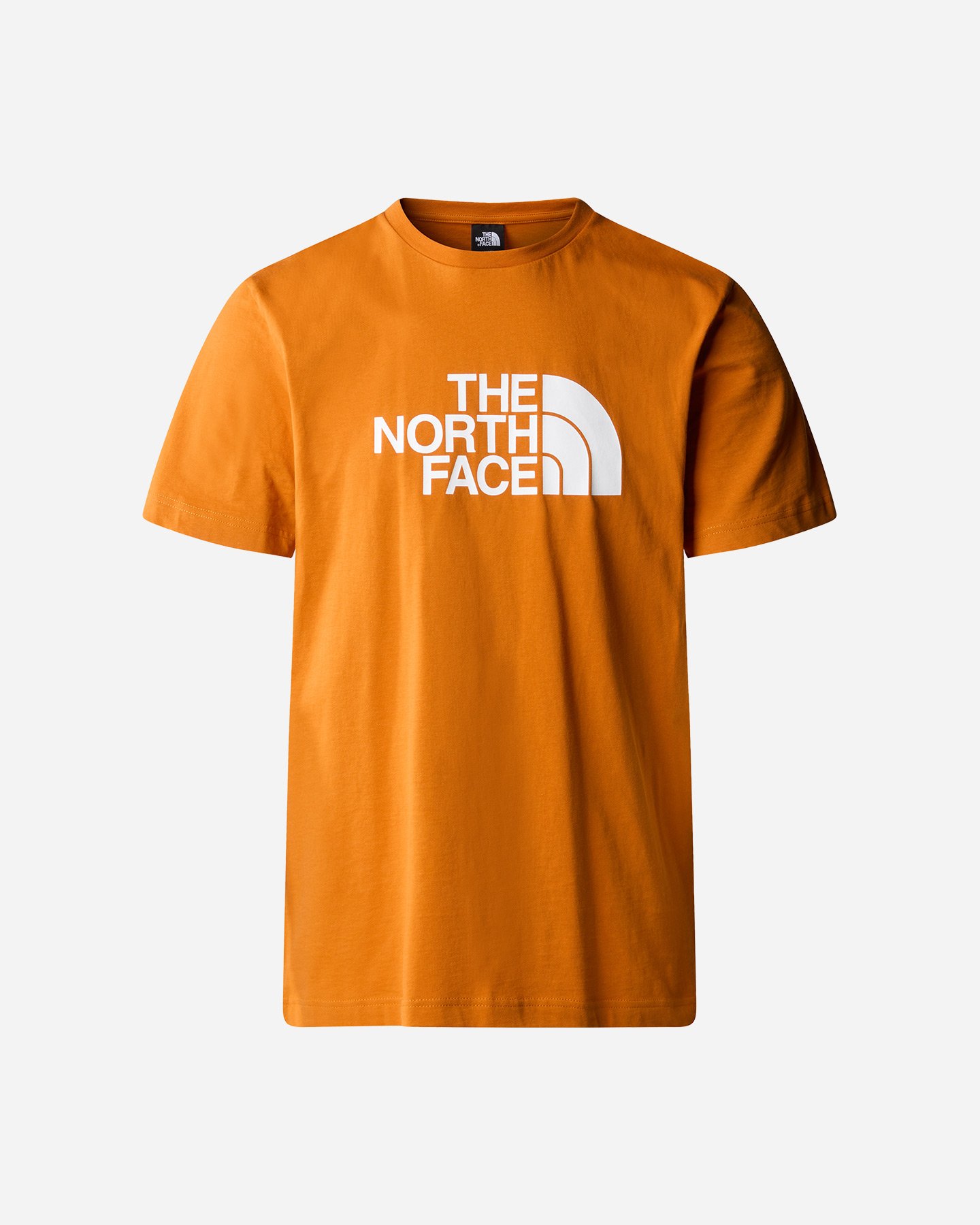 T-shirt THE NORTH FACE EASY TEE BIG LOGO M - 0 | Cisalfa Sport