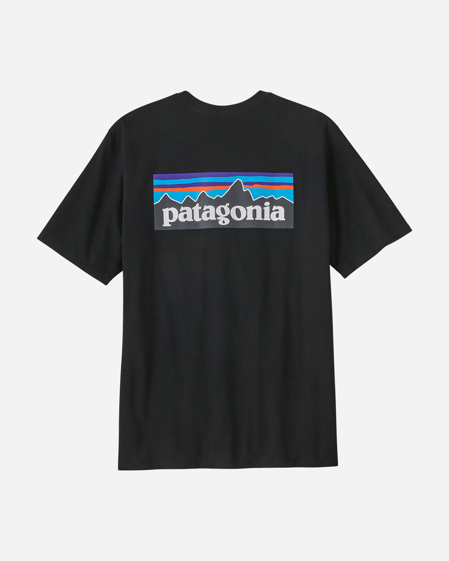 T-shirt PATAGONIA BIG LOGO M - 1 | Cisalfa Sport