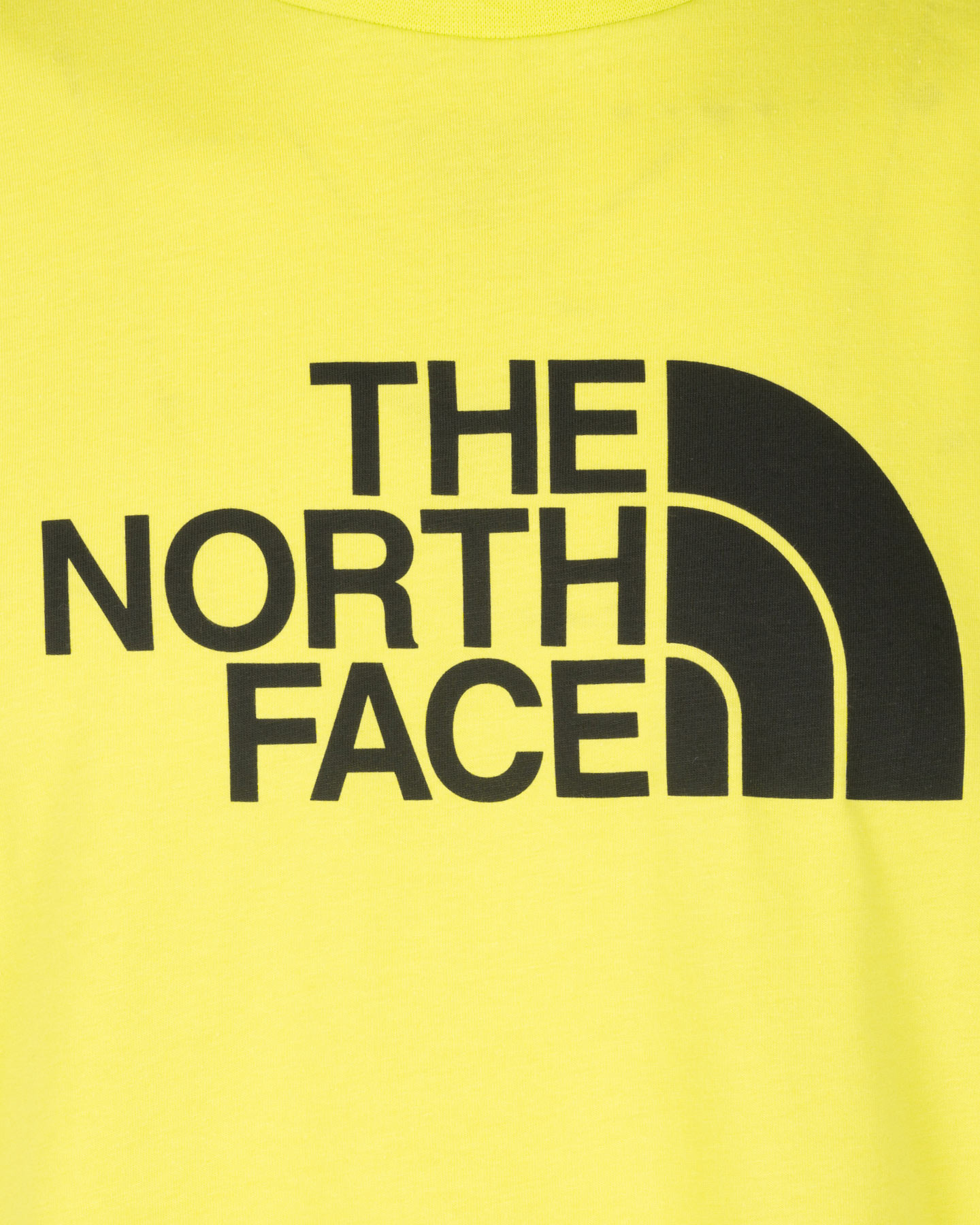 T-shirt THE NORTH FACE EASY TEE BIG LOGO M - 6 | Cisalfa Sport