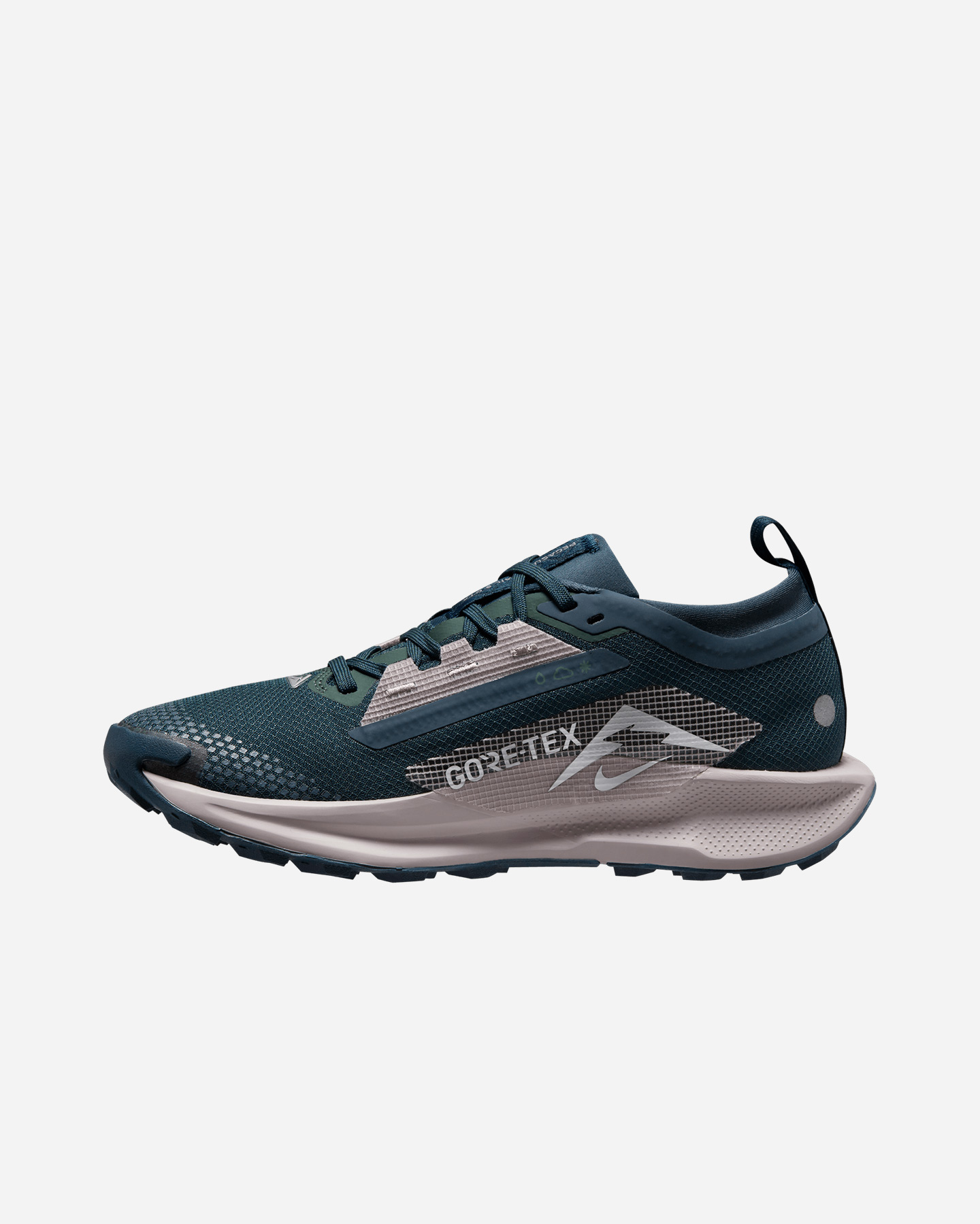 Scarpe trail NIKE PEGASUS TRAIL 5 GORE TEX W - 3 | Cisalfa Sport