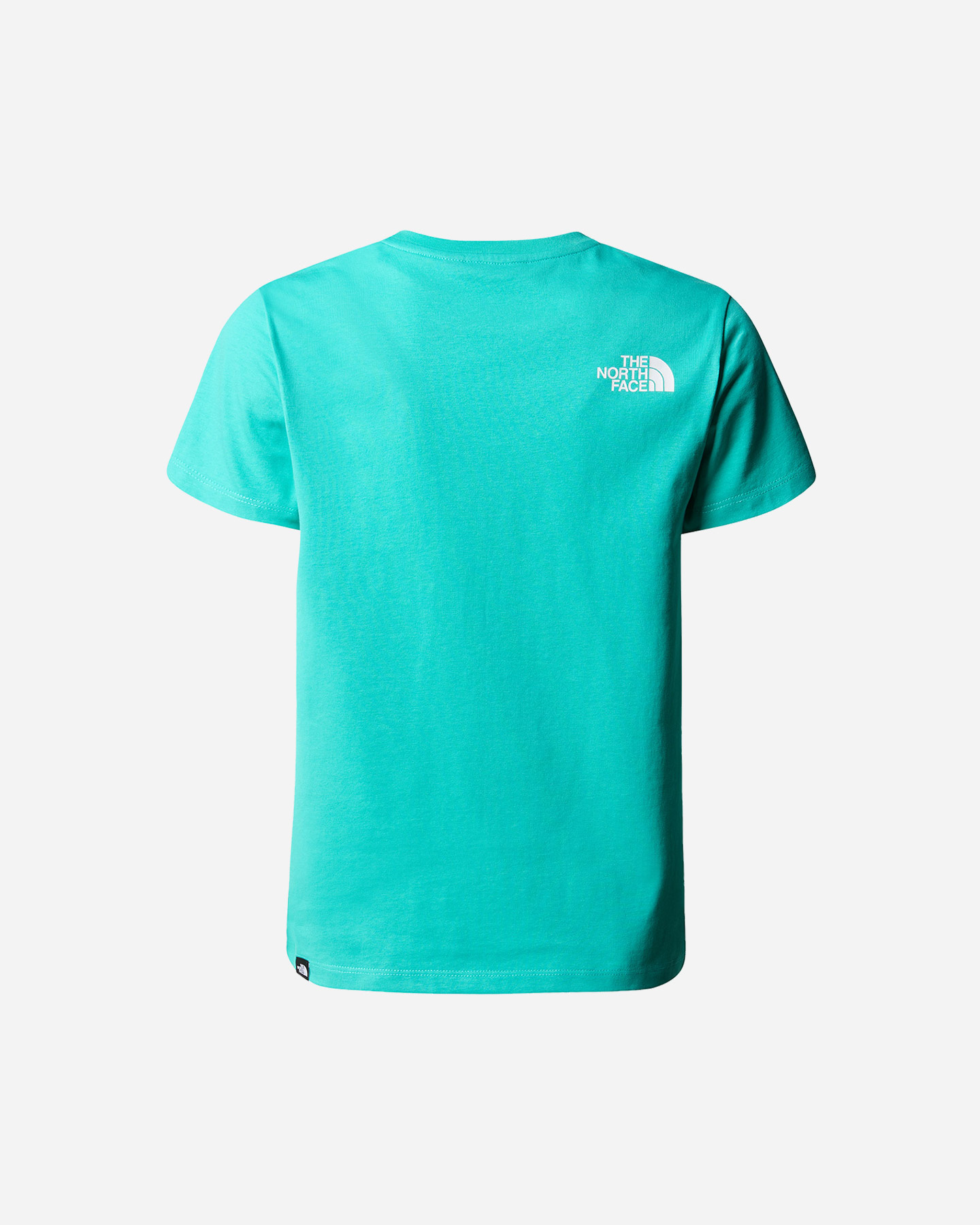 T-shirt THE NORTH FACE EASYTEE GEYSER JR - Azzurro - 1 | Cisalfa Sport