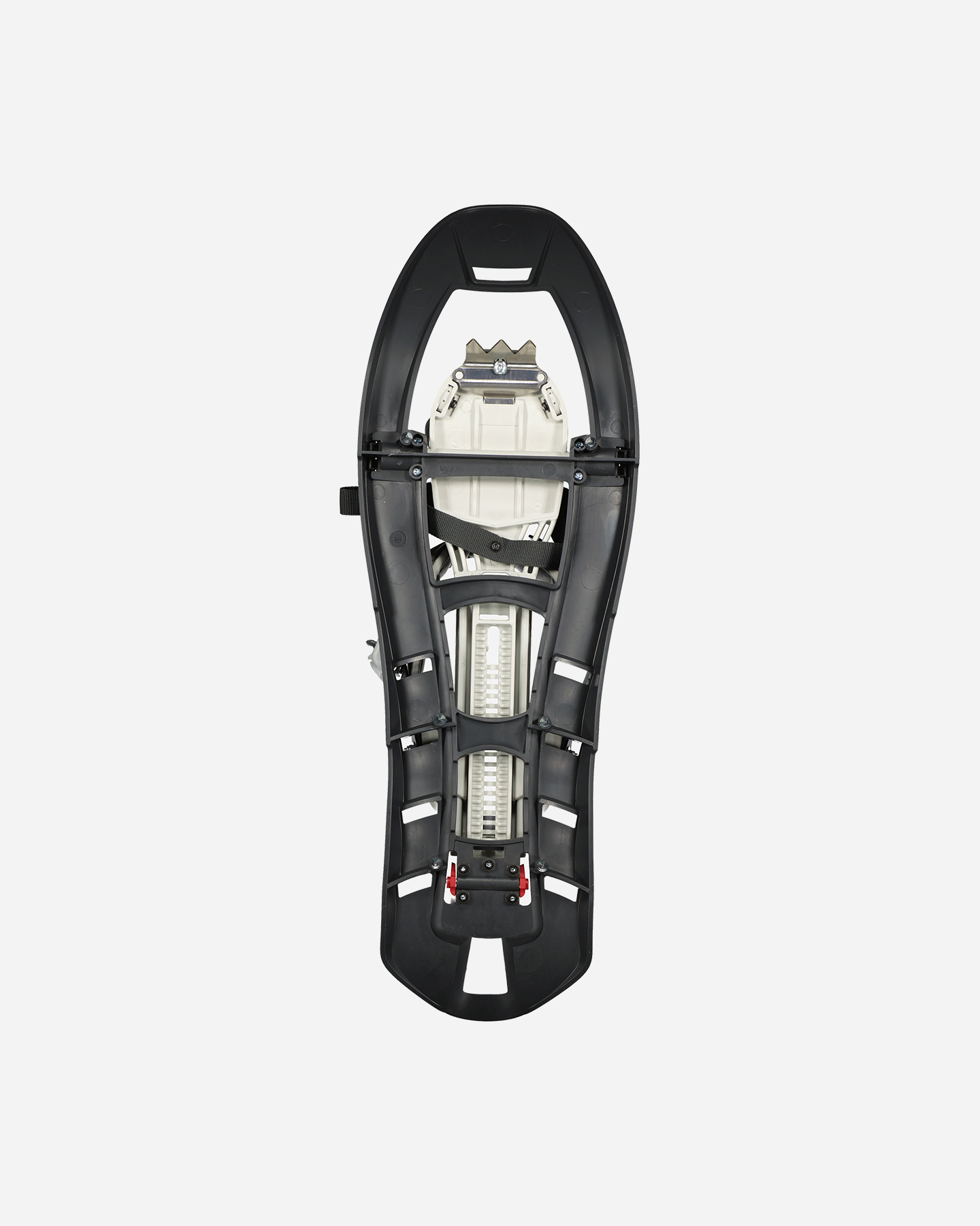 Ciaspole FERRINO PINTER SPECIAL - 1 | Cisalfa Sport