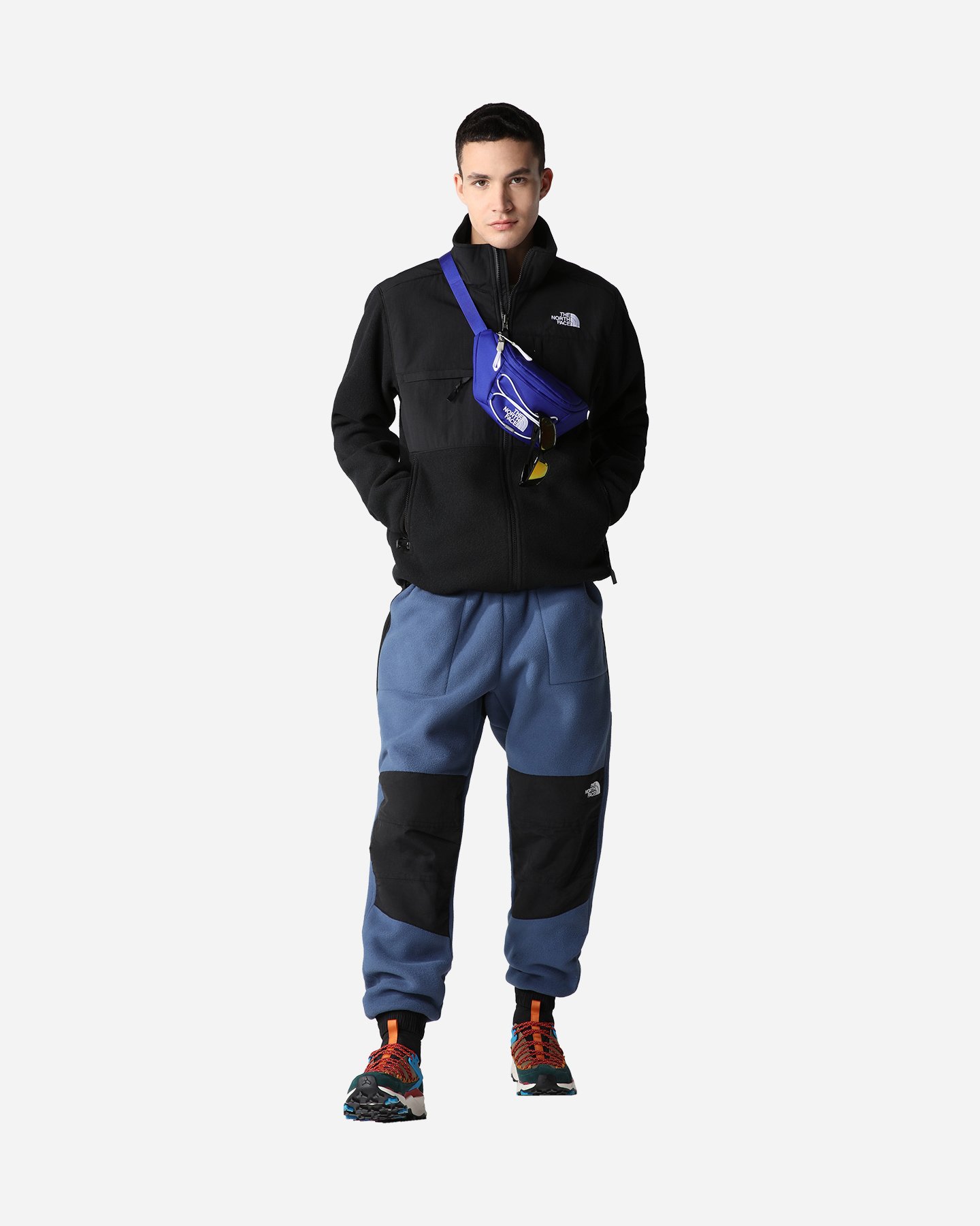 Giubbotto THE NORTH FACE DENALI M - Nero - 5 | Cisalfa Sport