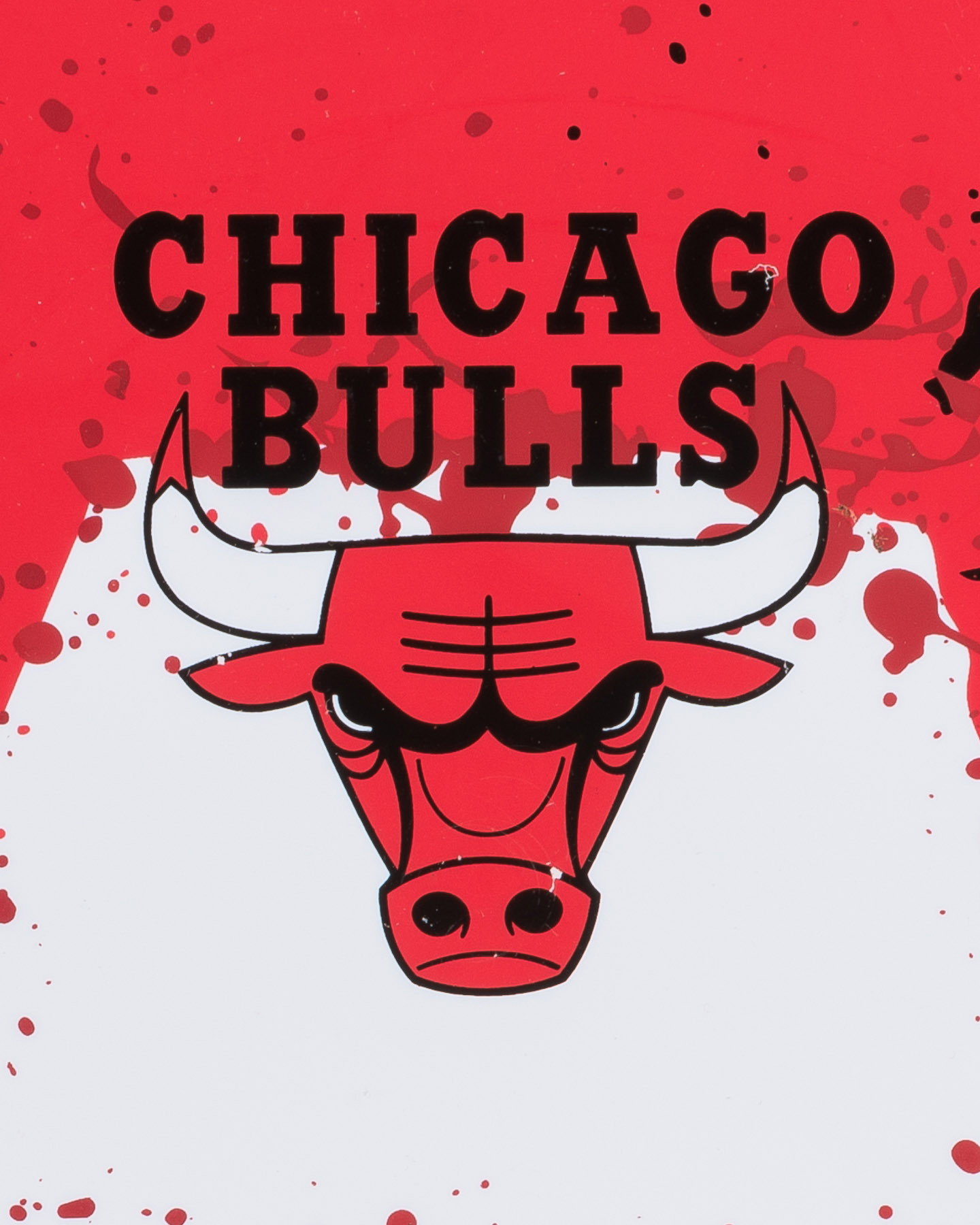 Canestro tabellone basket WILSON NBA TEAM CHICAGO BULLS - 1 | Cisalfa Sport