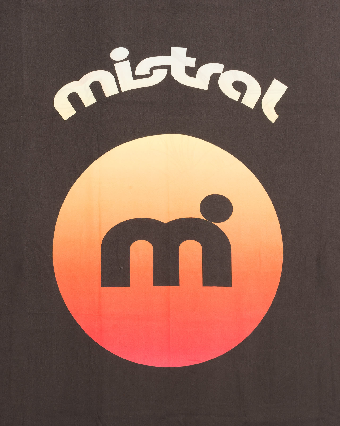 Telo mare MISTRAL MICROFIBRA PALMS  - Color mix - 2 | Cisalfa Sport