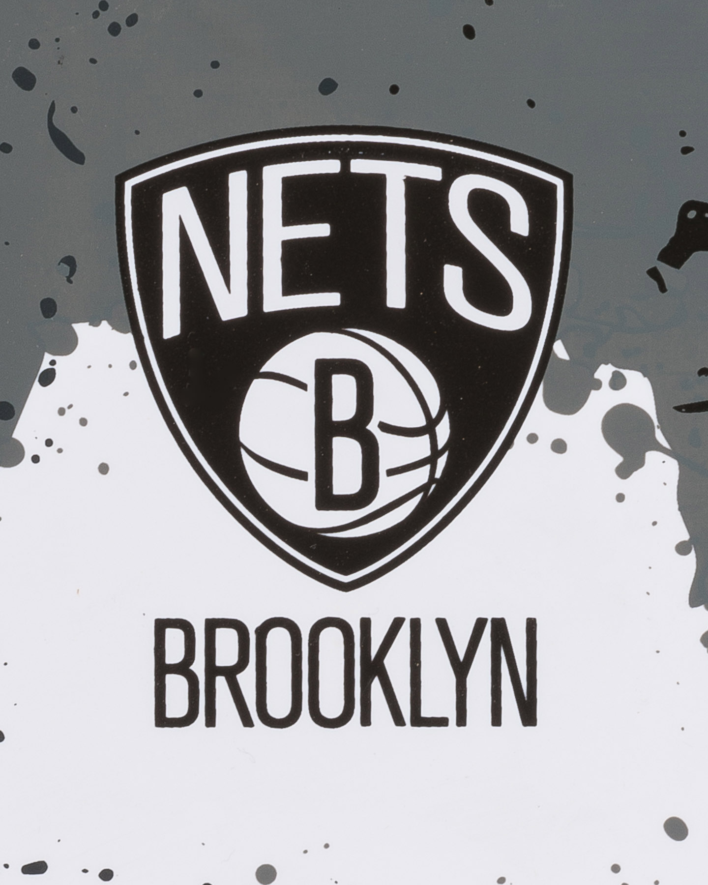 Canestro tabellone basket WILSON NBA TEAM BROOKLYN NETS - 1 | Cisalfa Sport