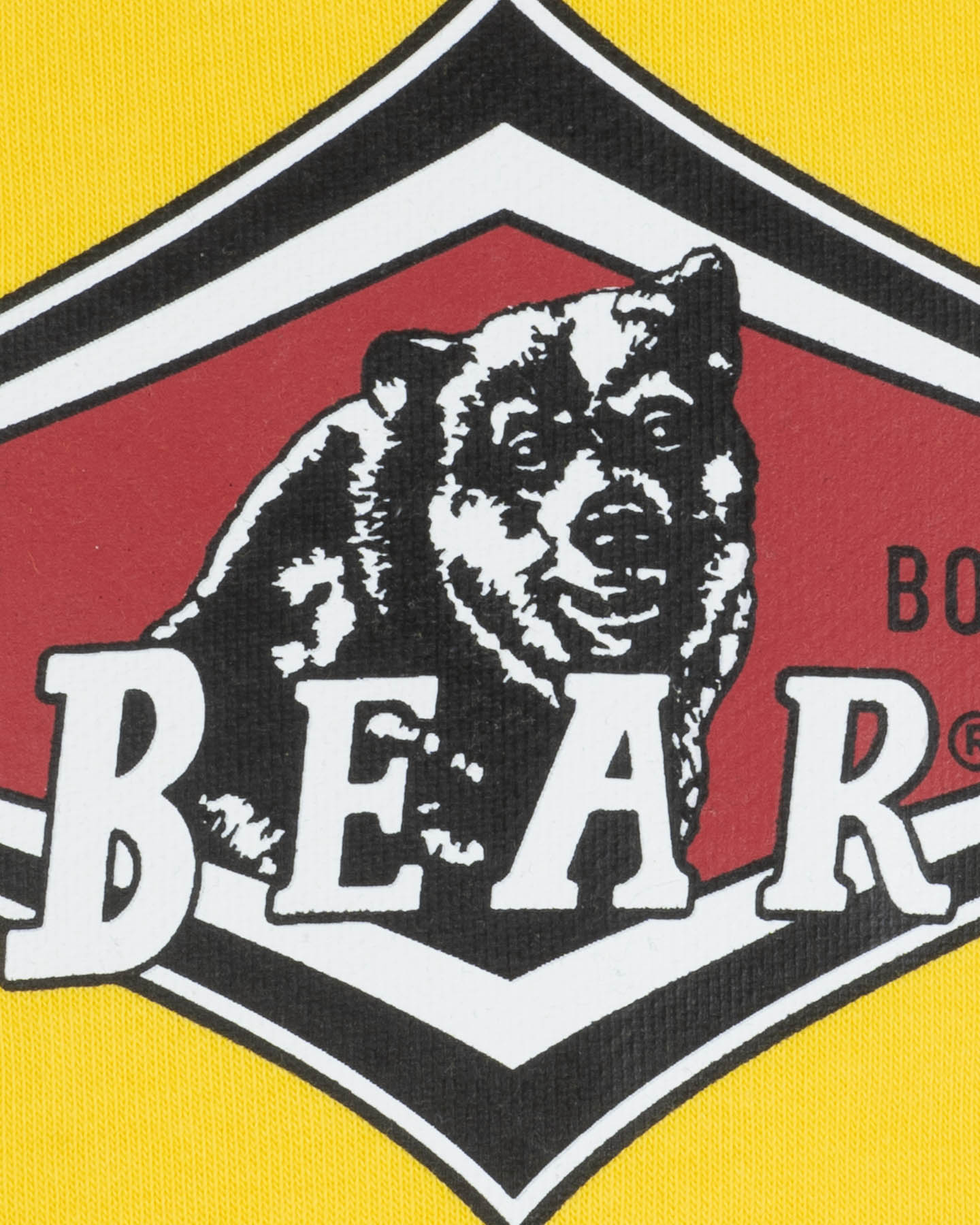 Felpa BEAR PLOGO JR - Giallo - 2 | Cisalfa Sport