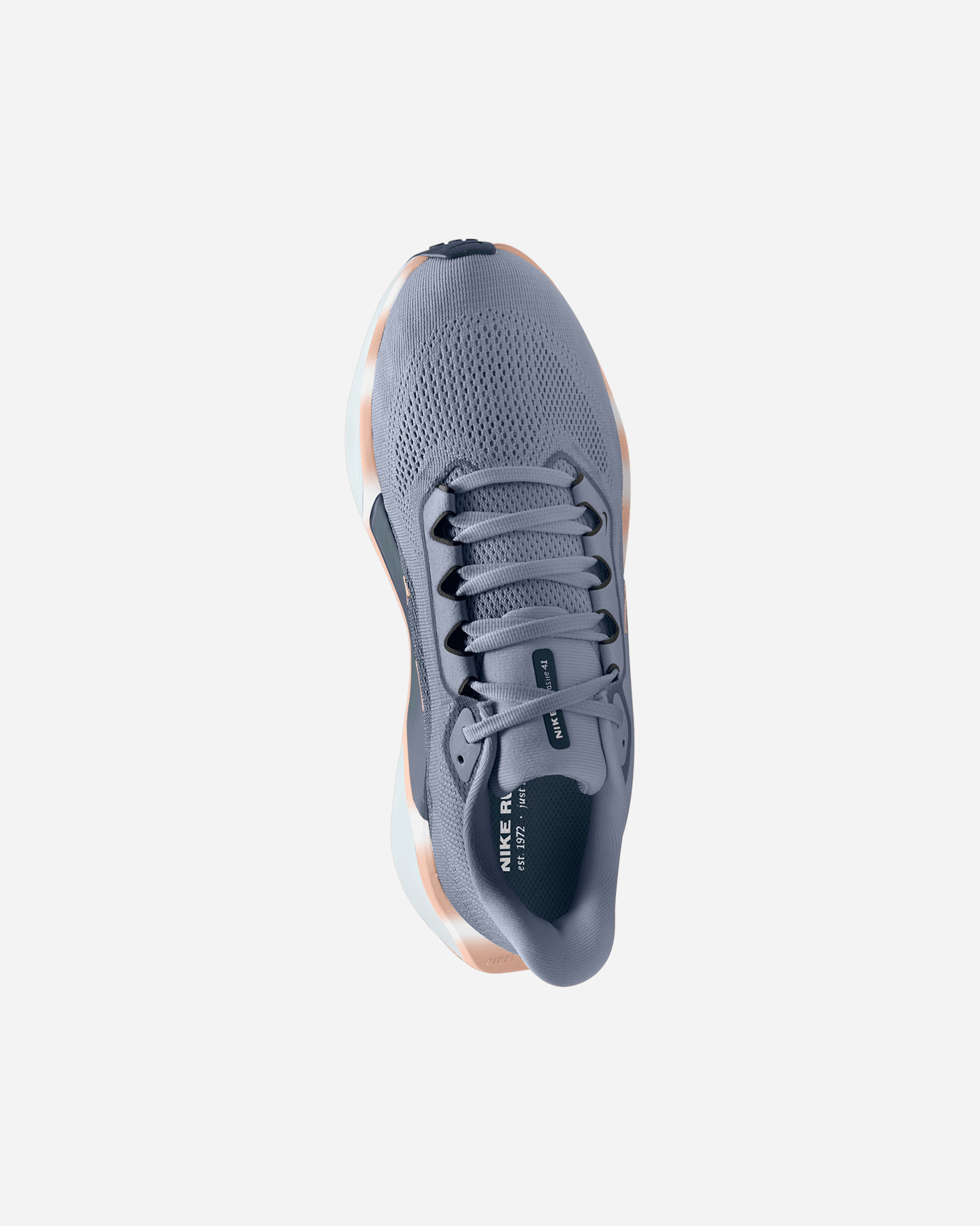 Scarpe running NIKE PEGASUS 41 W - 2 | Cisalfa Sport