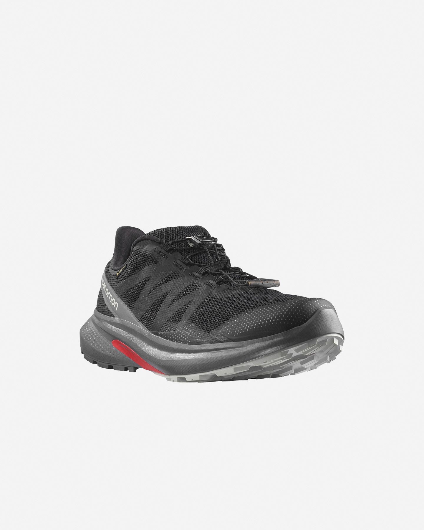 Scarpe trail SALOMON HYPULSE GTX M - 1 | Cisalfa Sport