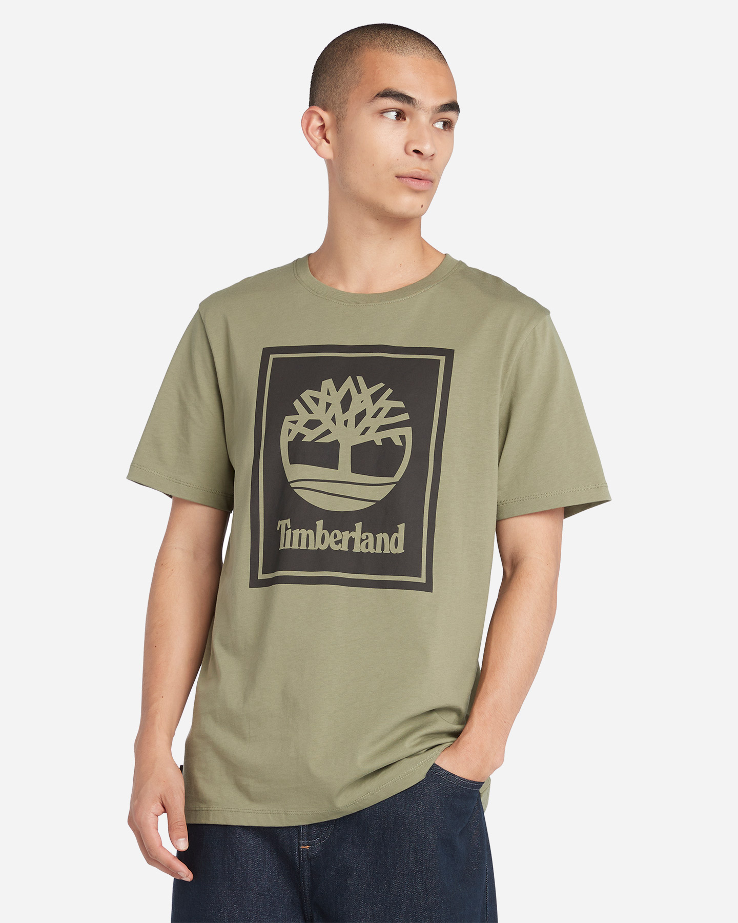 T-shirt TIMBERLAND STACK LOGO M - Verde - 1 | Cisalfa Sport