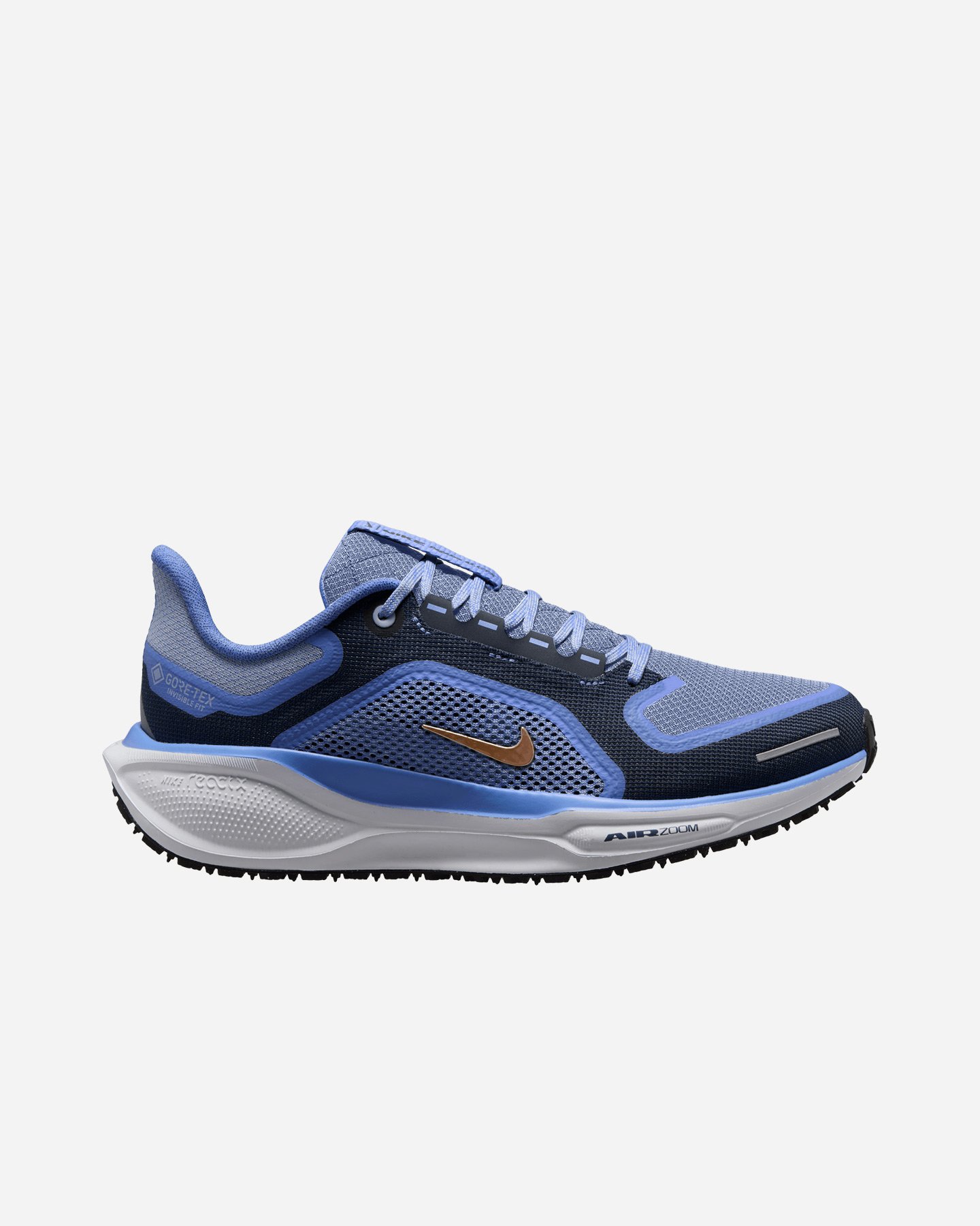 Scarpe Running Nike Pegasus 41 Gore Tex W FQ1357 400 Cisalfa Sport